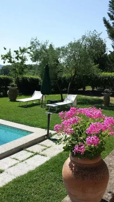 Swimming Pool in Podere Lamaccia - bed and kitchinette