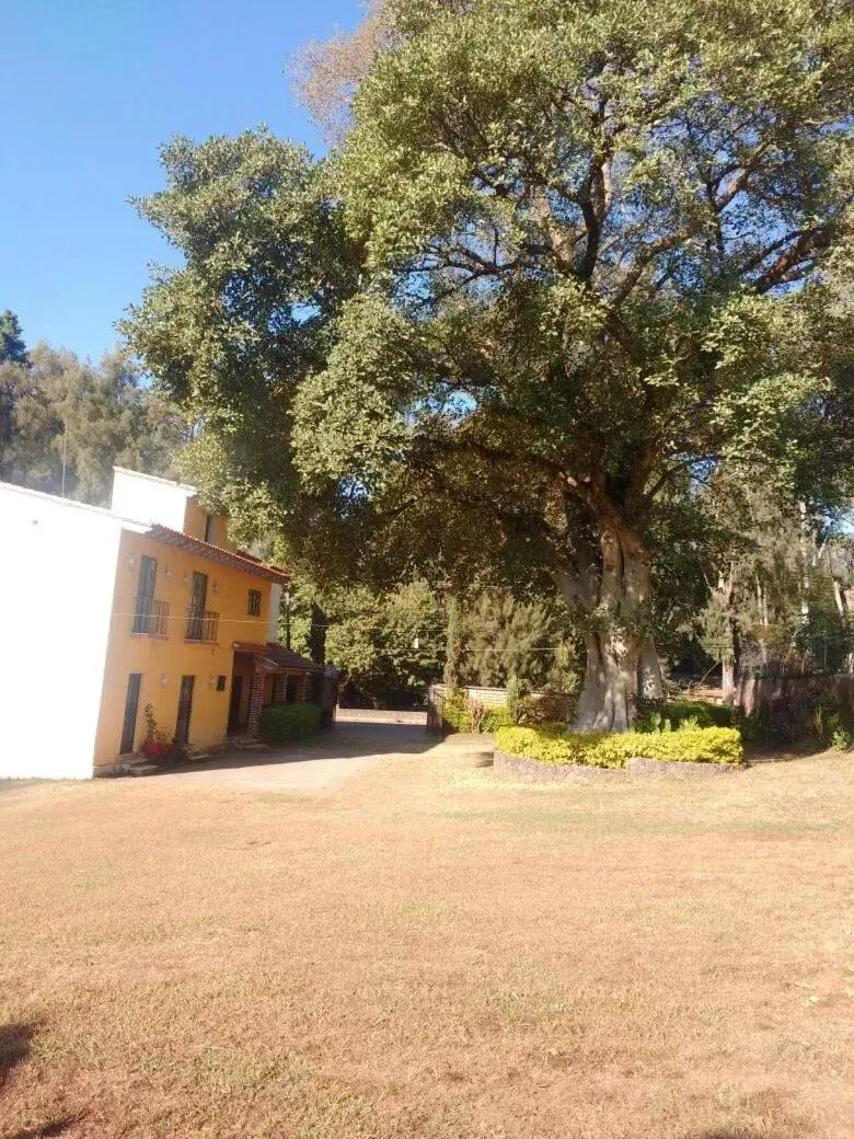 Property Building in Hospedaje Ornelas