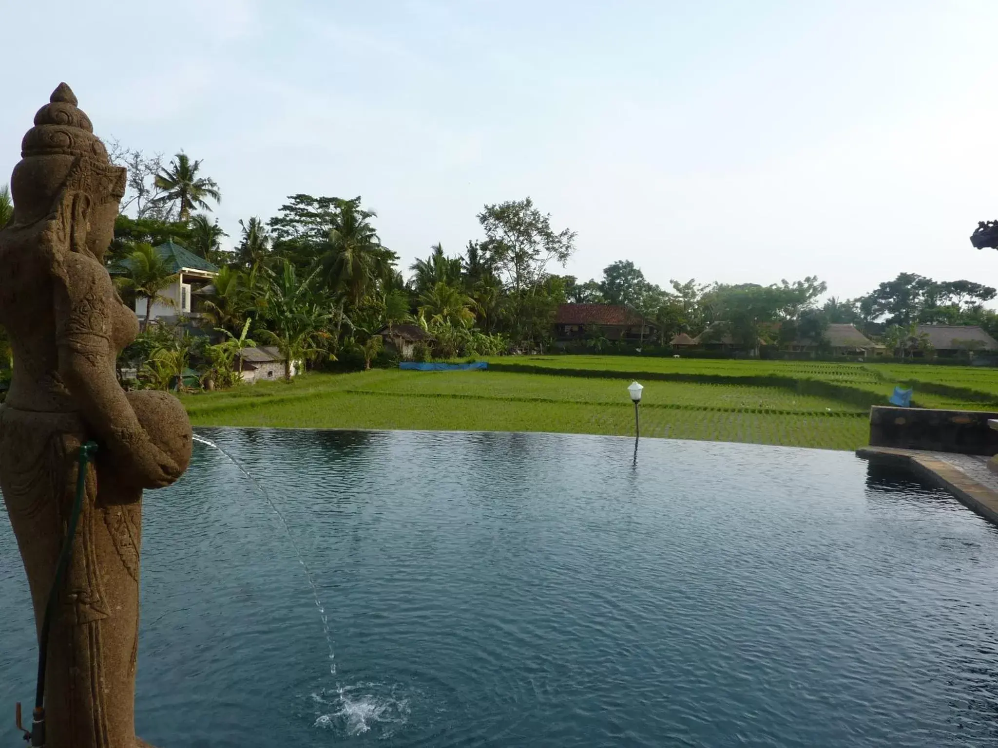 Pool view, Swimming Pool in Cendana Resort & Spa by Mahaputra
