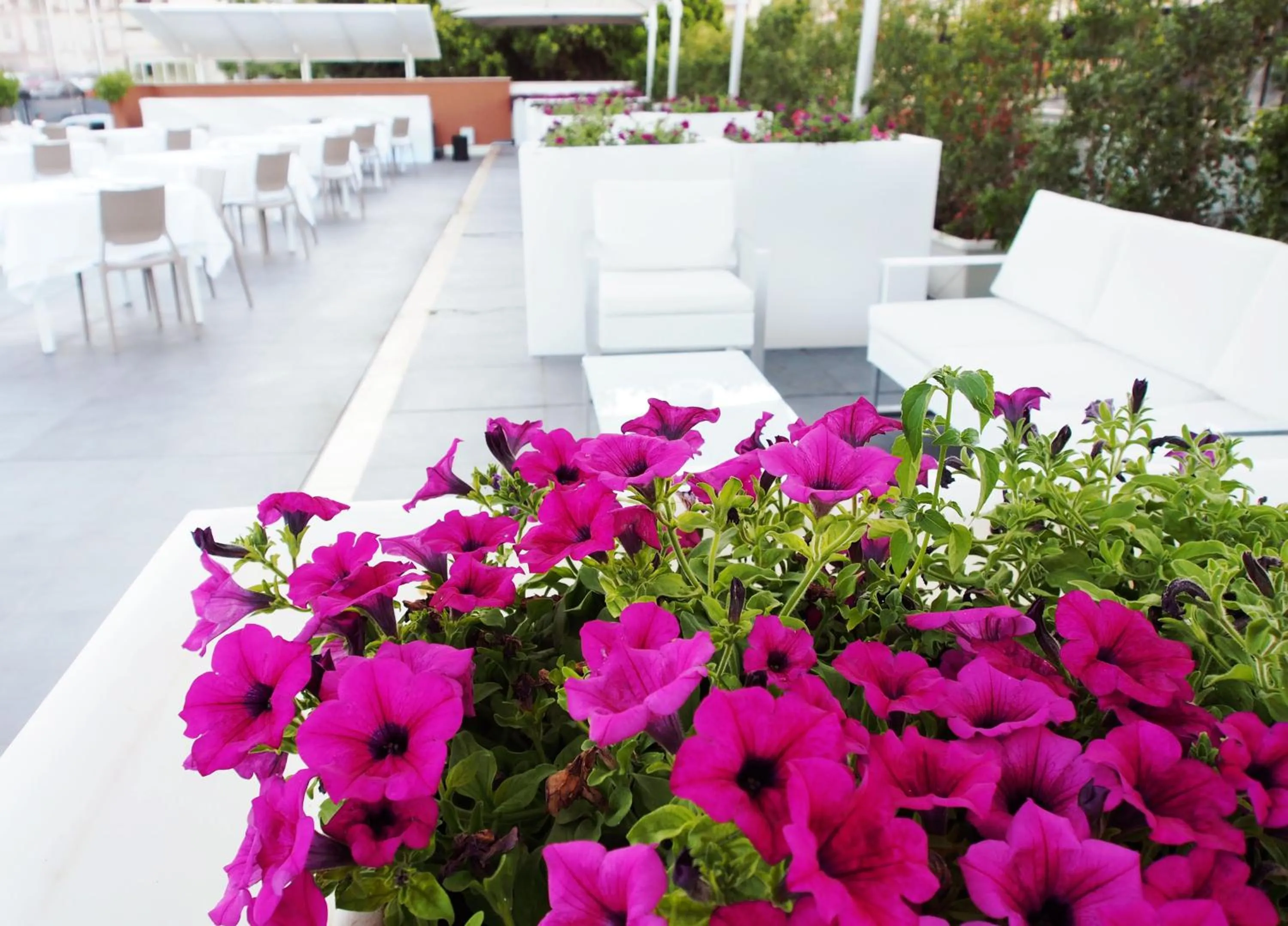 Restaurant/places to eat in Sicilia Hotel Spa