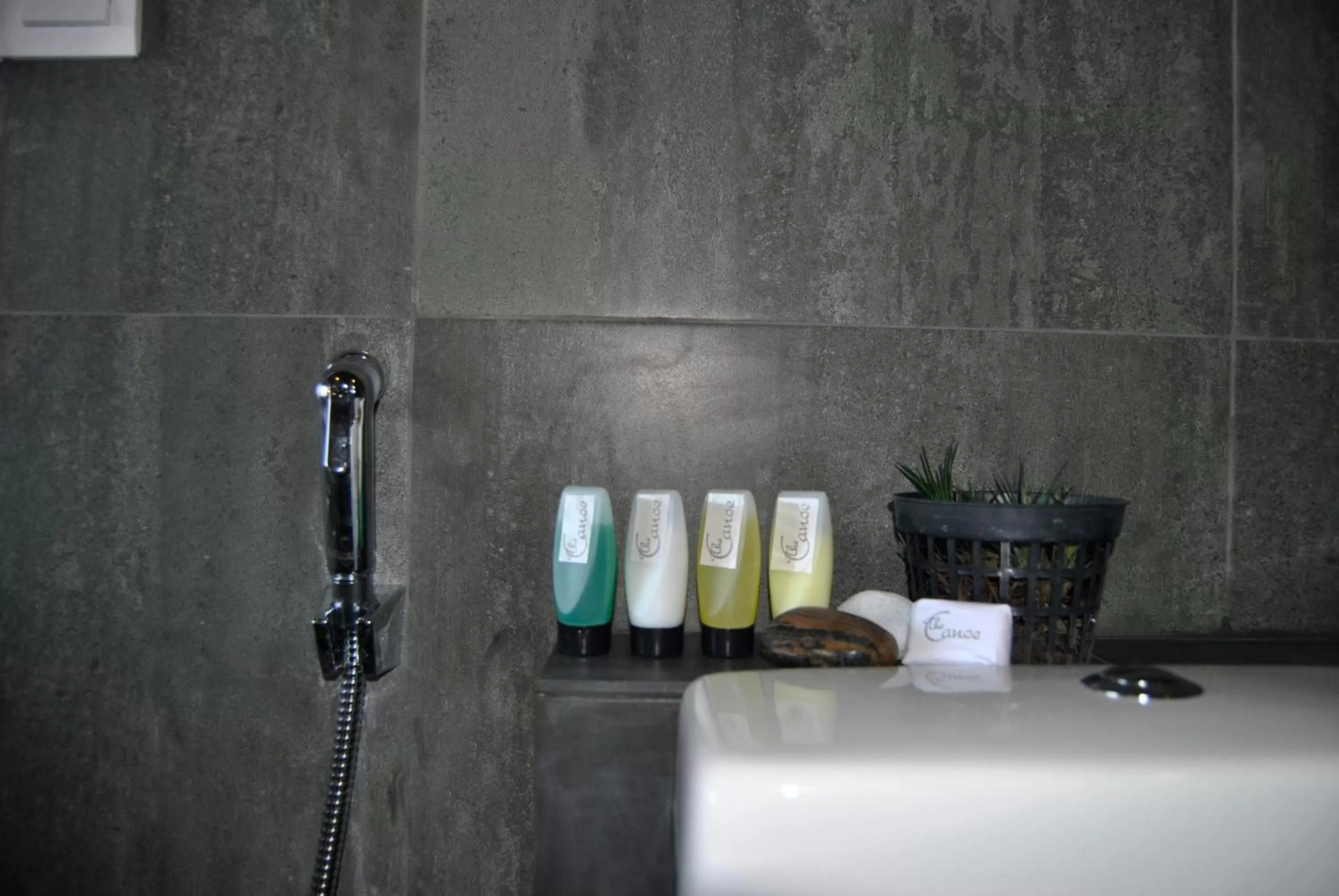 Bathroom in The Canoe