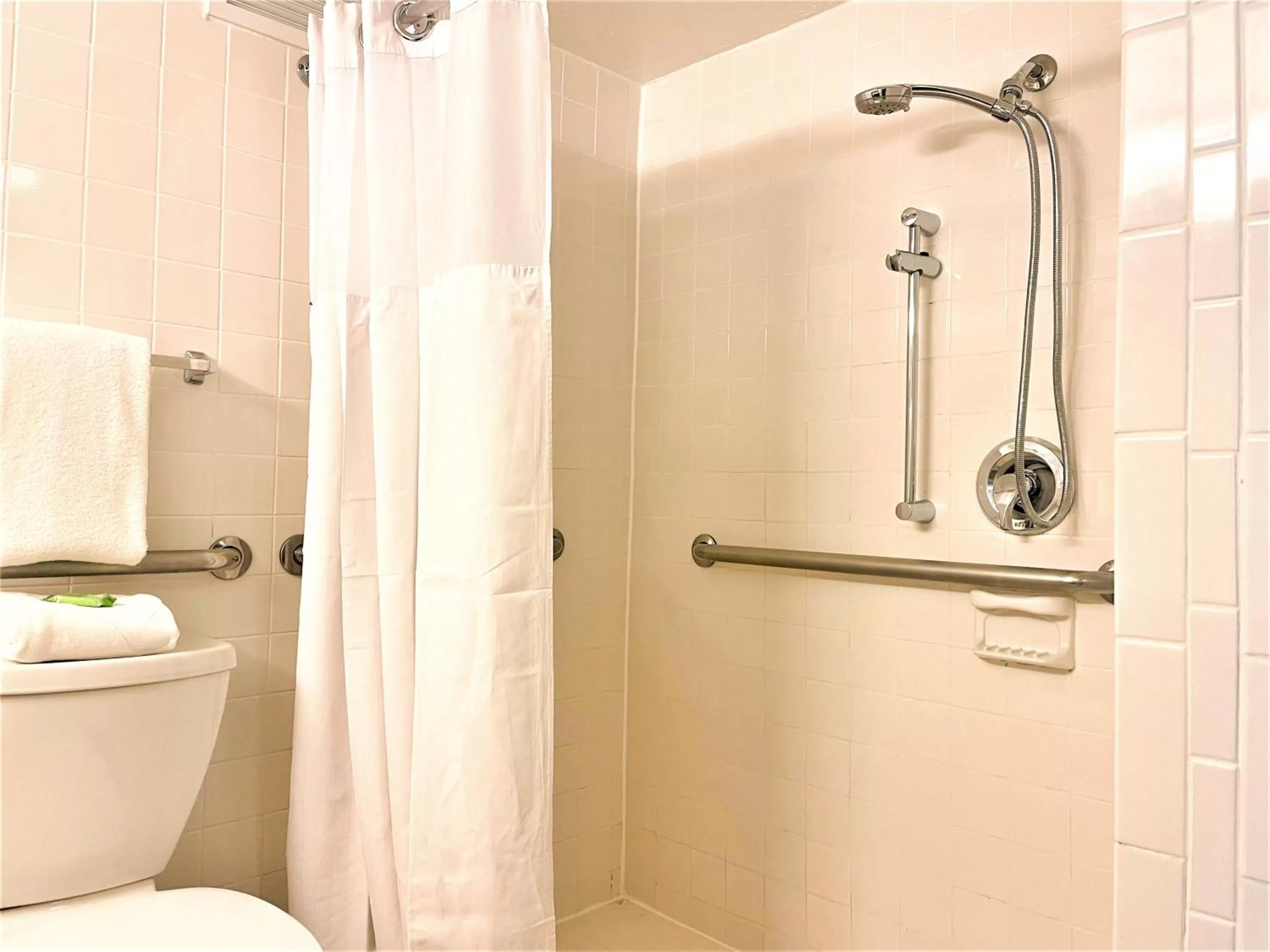 Bathroom in Wyndham Lake Buena Vista – Disney Springs® Area
