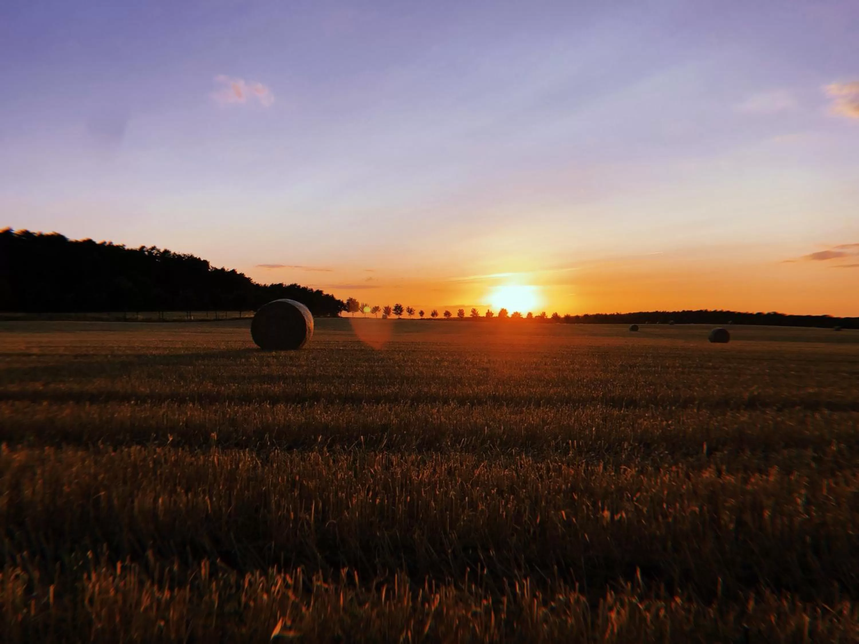 Patio in Hotel Zur Linde Dein Self Check In