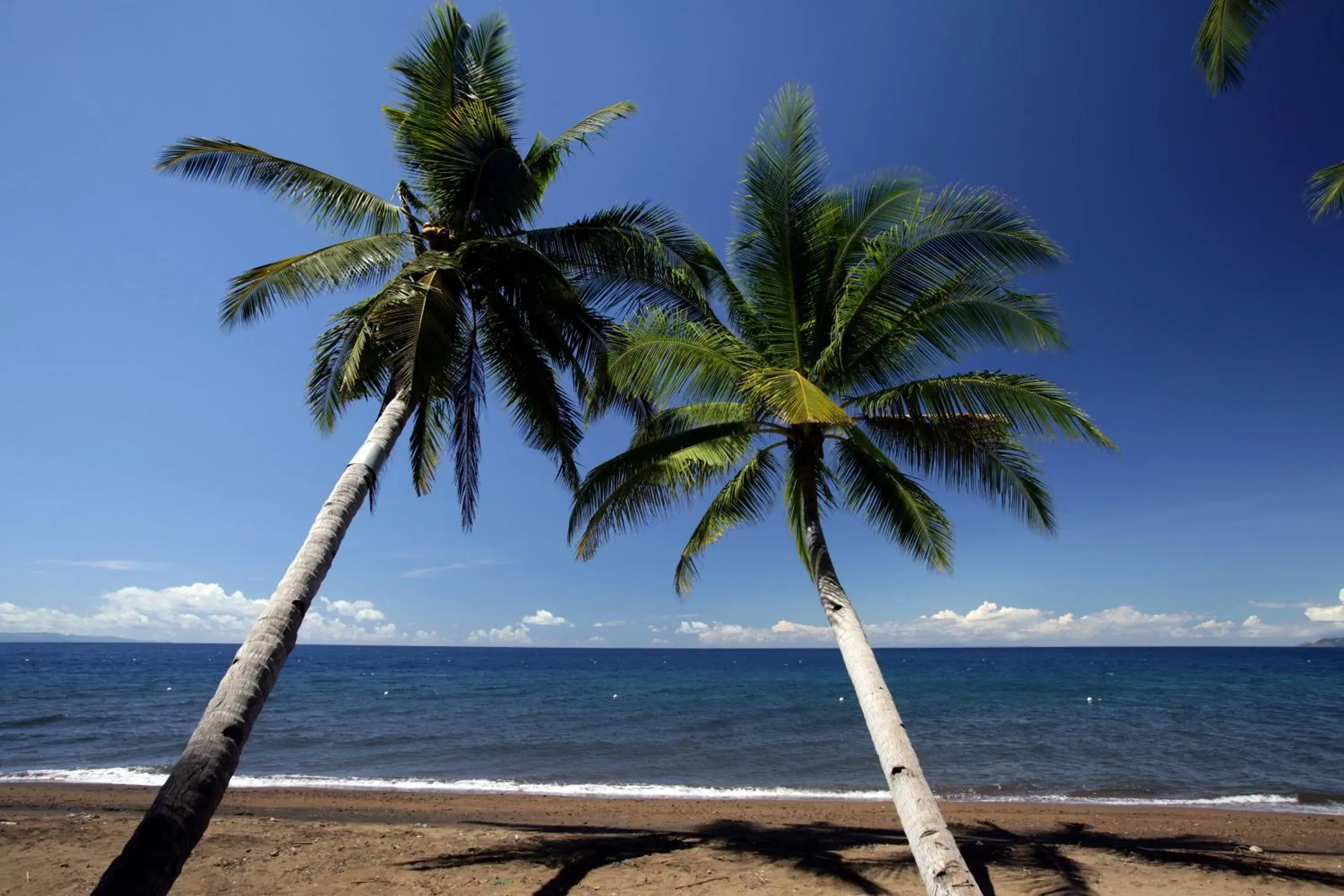 Beach in Atlantis Dive Resort Dumaguete