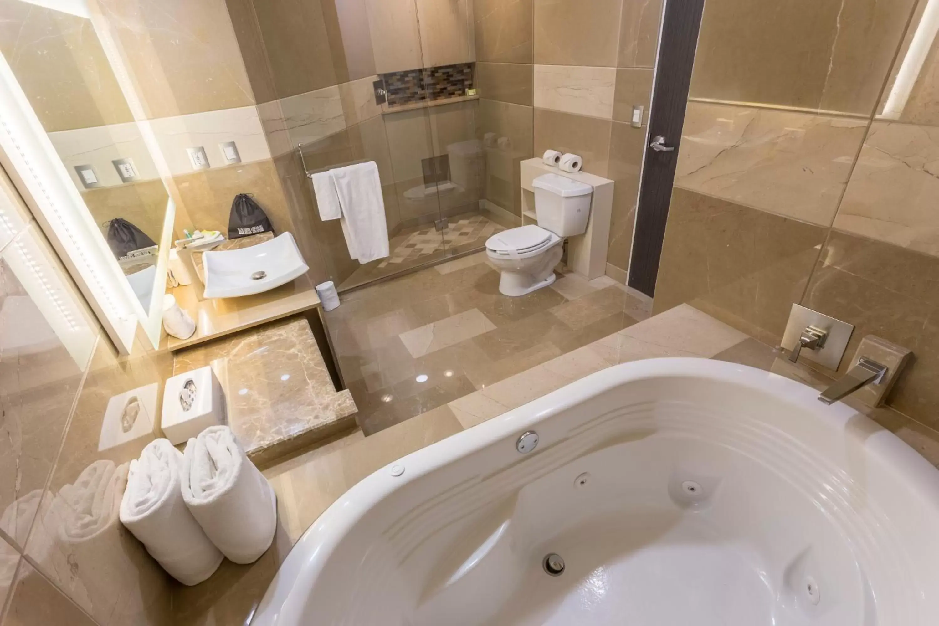Photo of the whole room, Bathroom in Holiday Inn Queretaro Zona Diamante, an IHG Hotel
