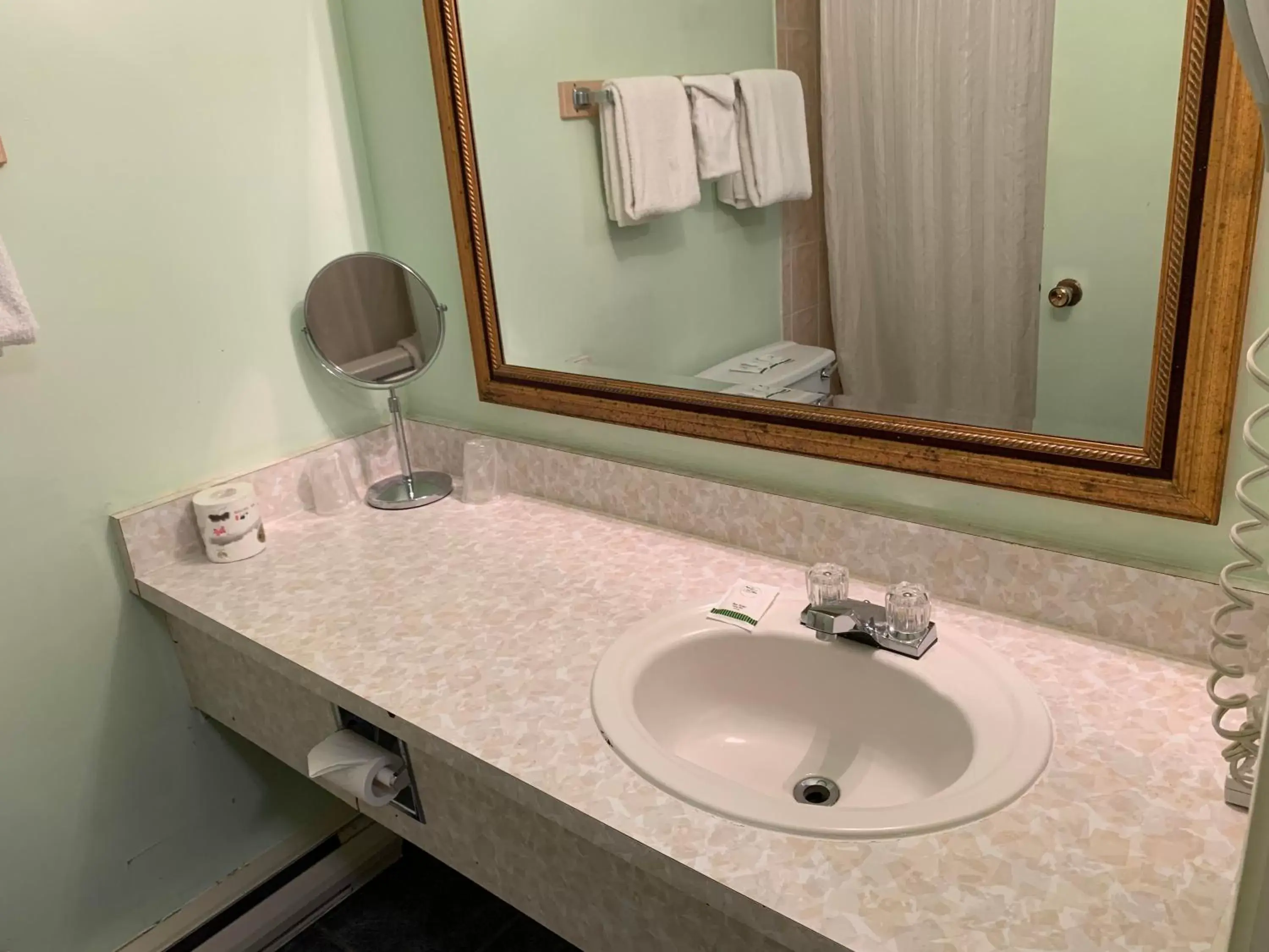 Bathroom in Windsor Motel