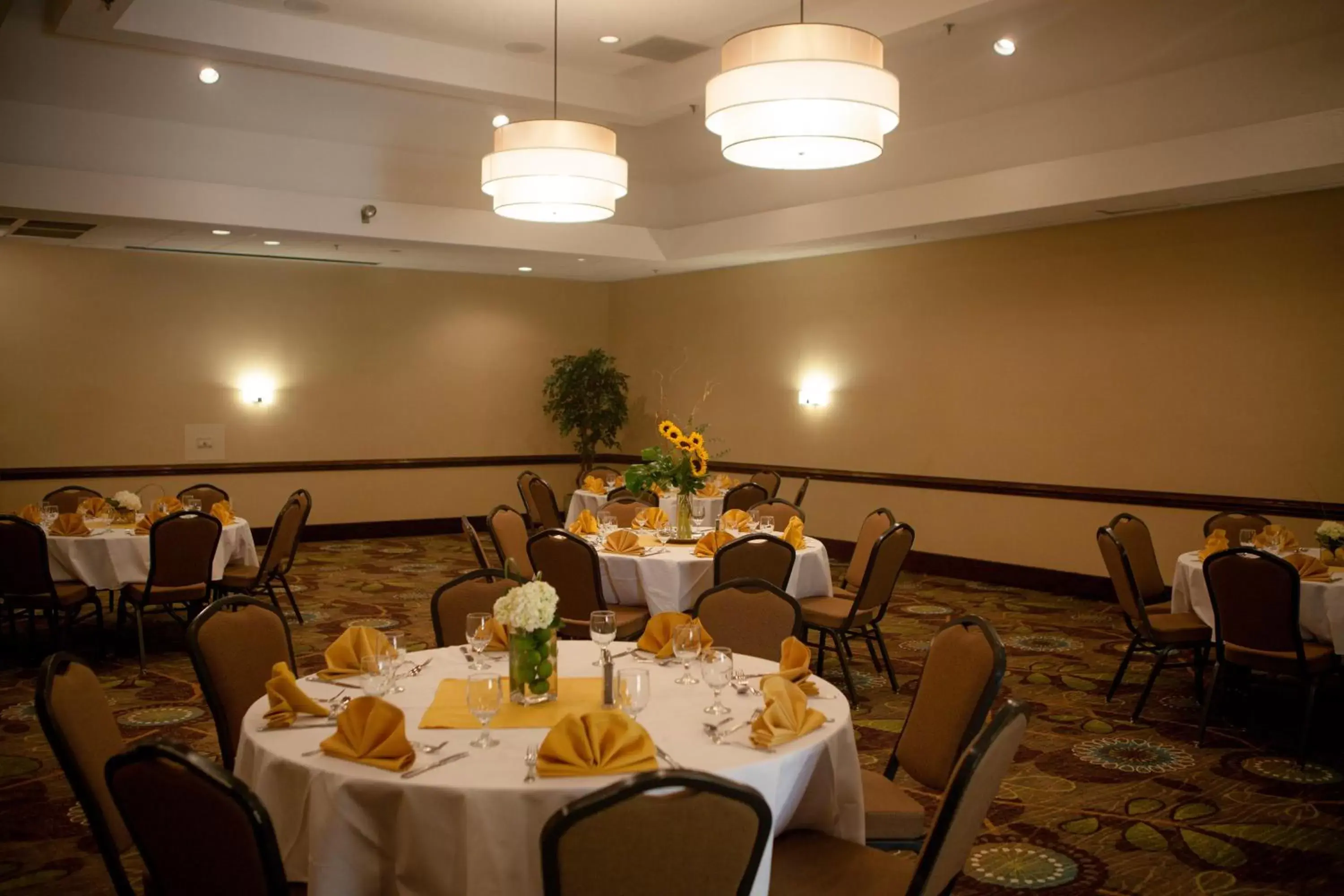 Meeting/conference room, Restaurant/Places to Eat in Holiday Inn Greenville, an IHG Hotel