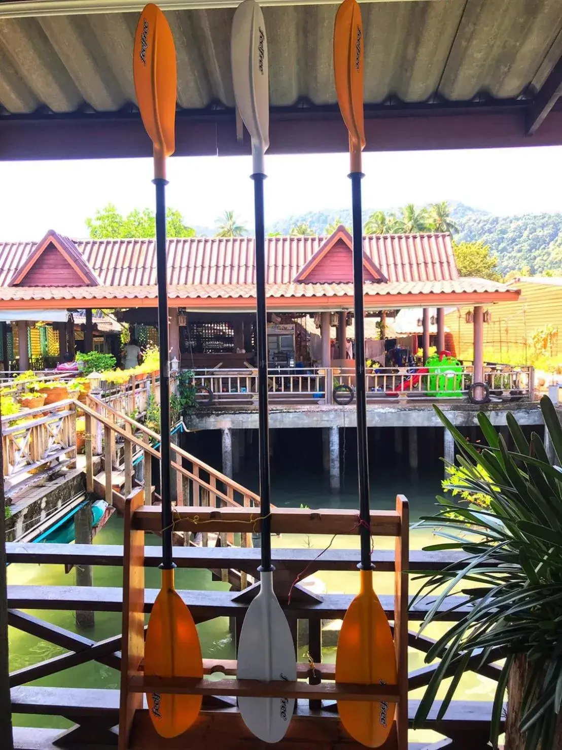 Patio in The mangrove old town