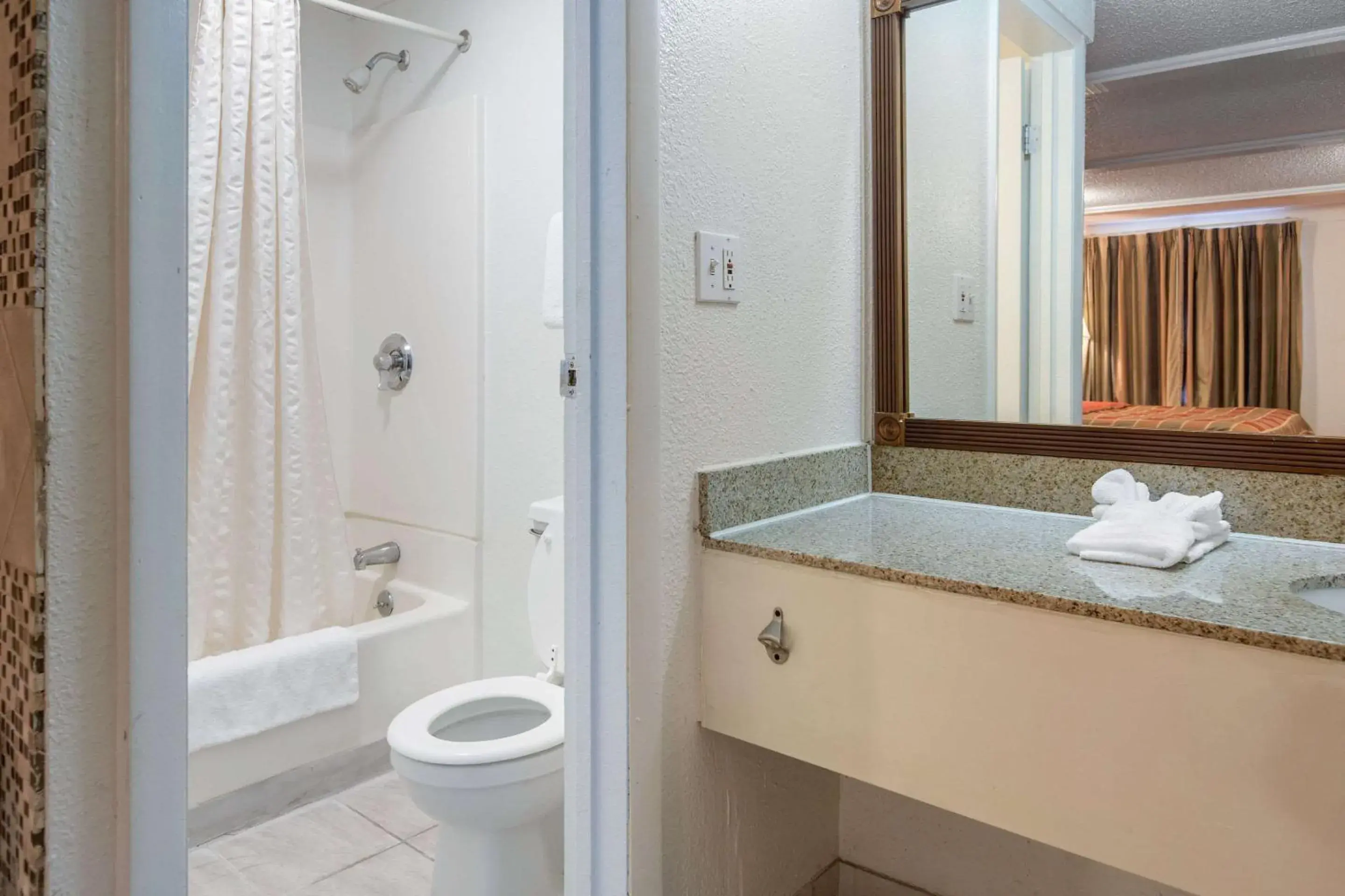 Bathroom in Rodeway Inn Auburn Hills