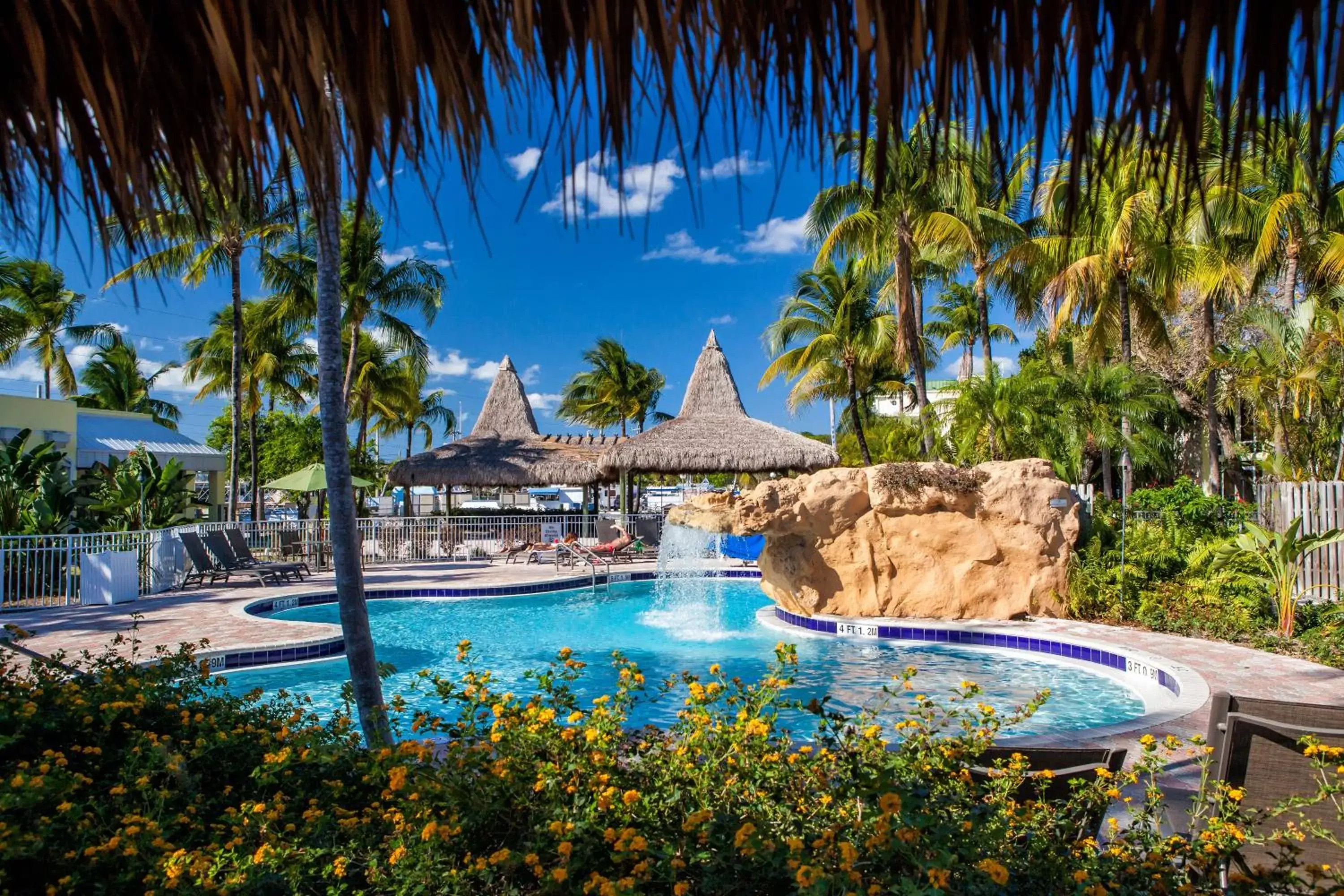 Swimming Pool in Holiday Inn Key Largo, an IHG Hotel