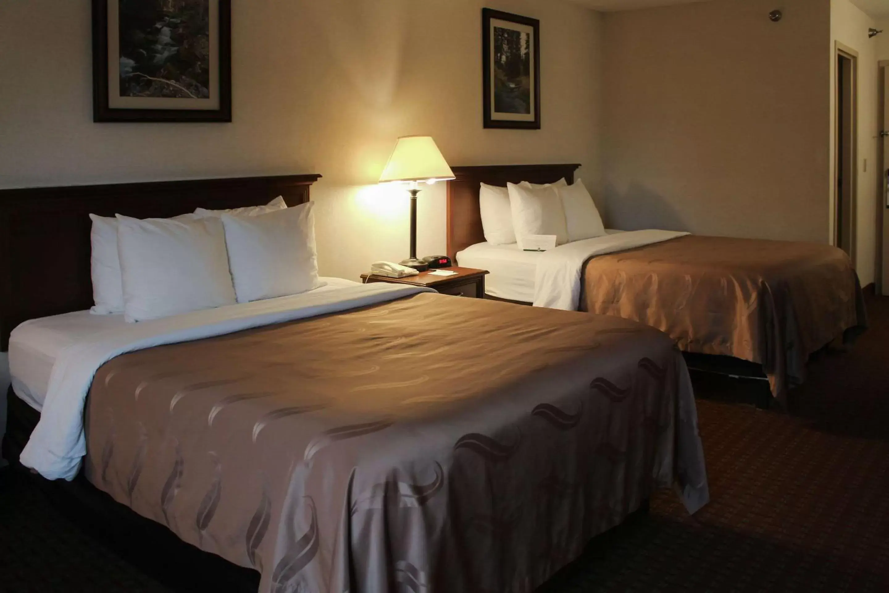 Photo of the whole room, Bed in Quality Inn Spearfish