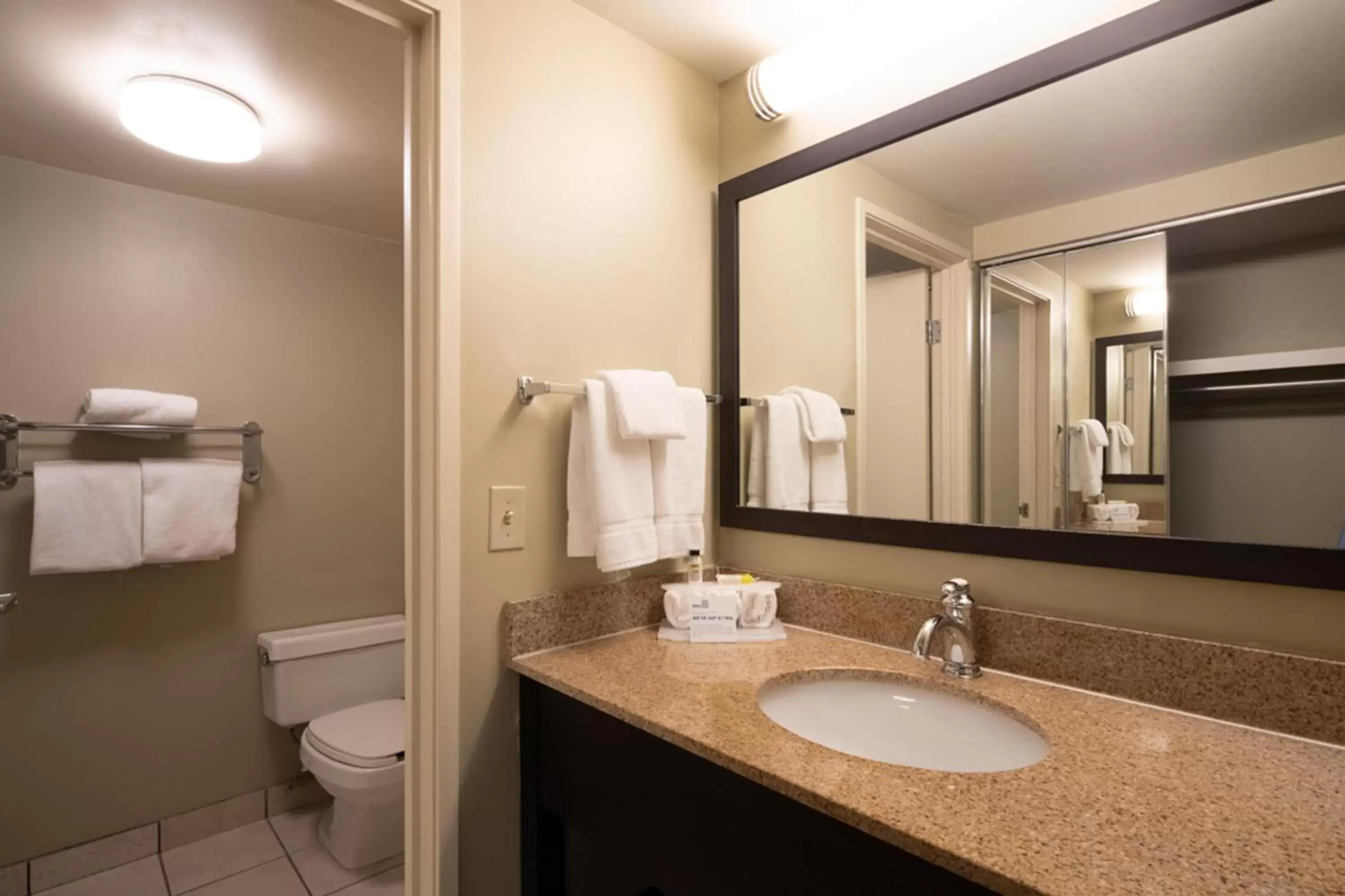 Photo of the whole room, Bathroom in Holiday Inn Express Hotel & Suites Pittsburgh Airport, an IHG Hotel