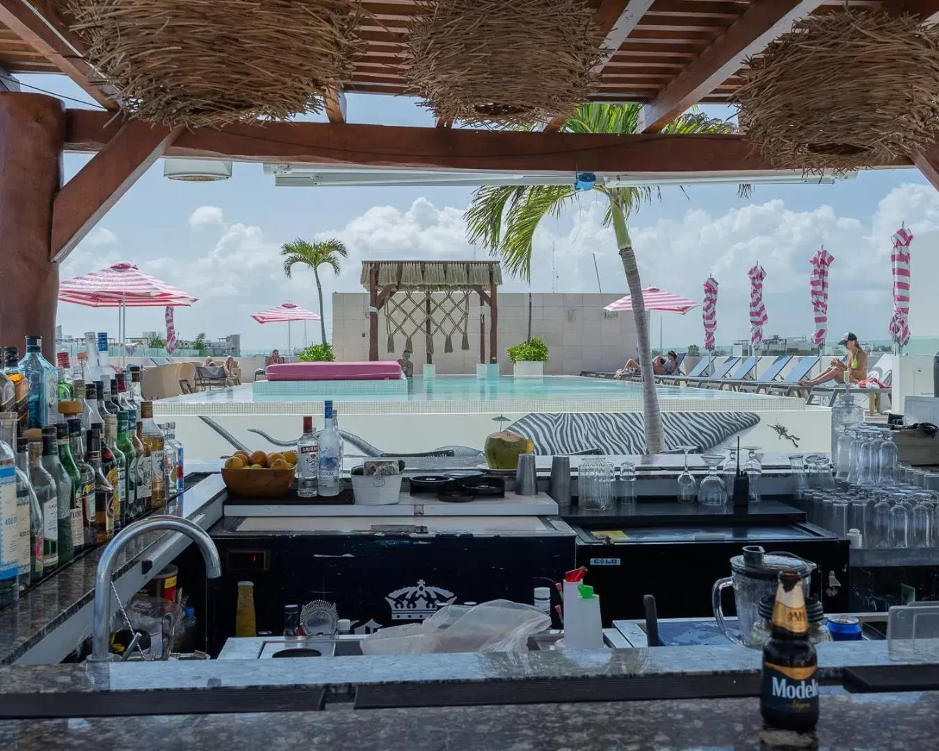 Lounge or bar in Hotel The Palm Lounge or bar in Hotel The Palm