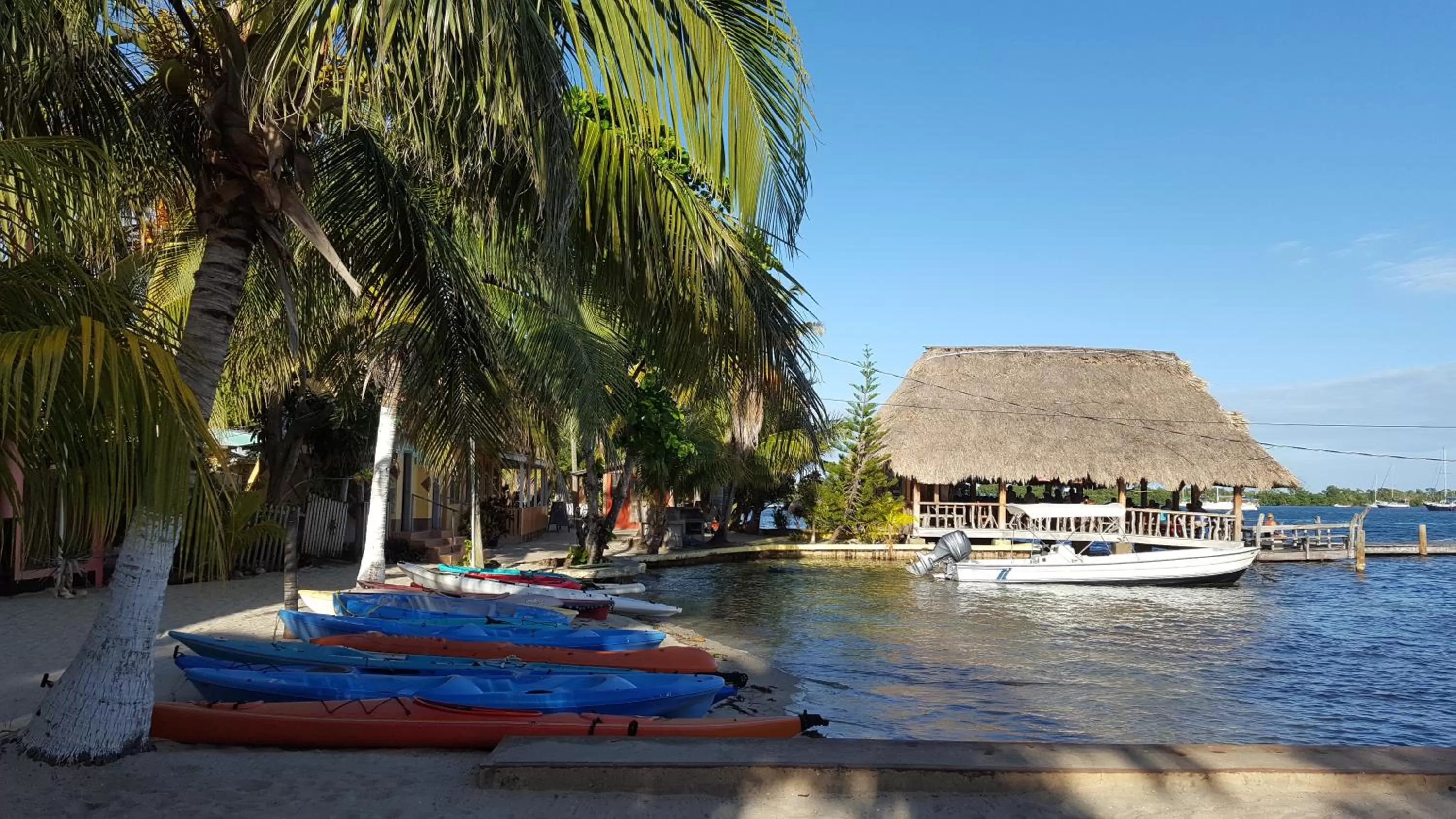 View (from property/room) in Alan's Paradise Hotel