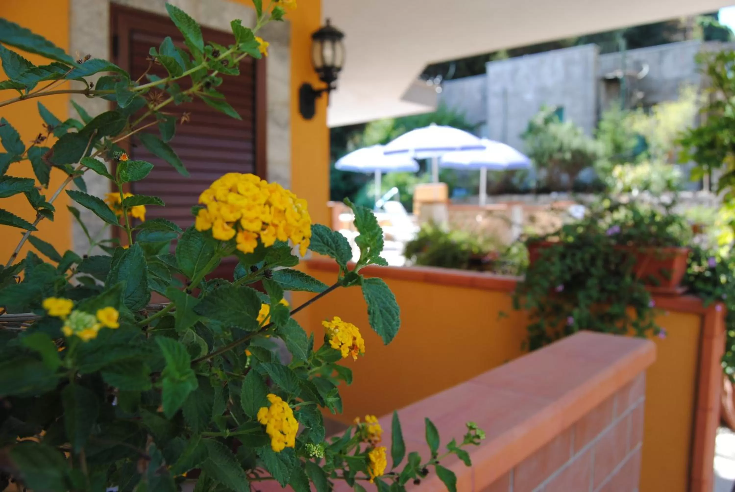 Balcony/Terrace in Residence Villa Il Glicine