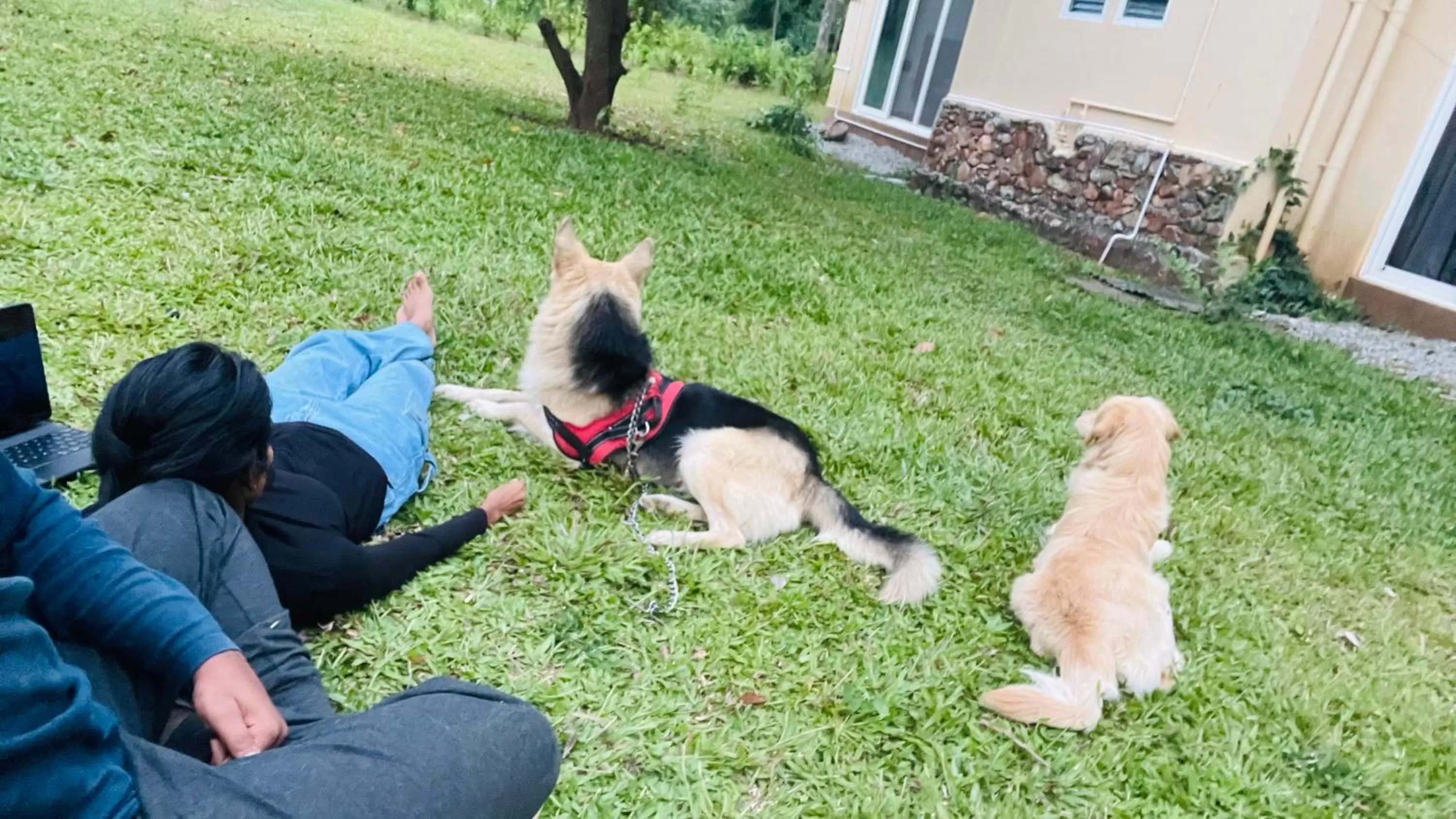 Day in Commune18 Resort Chikmagalur