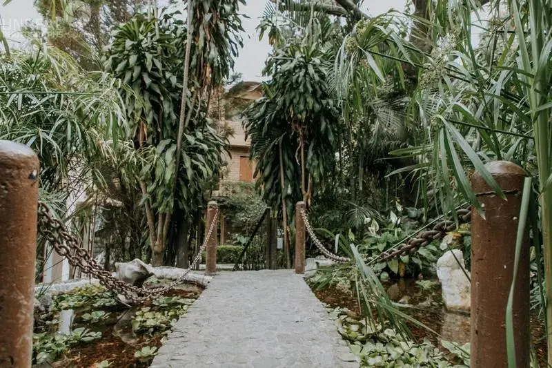 Garden in Hotel boutique Teocalli