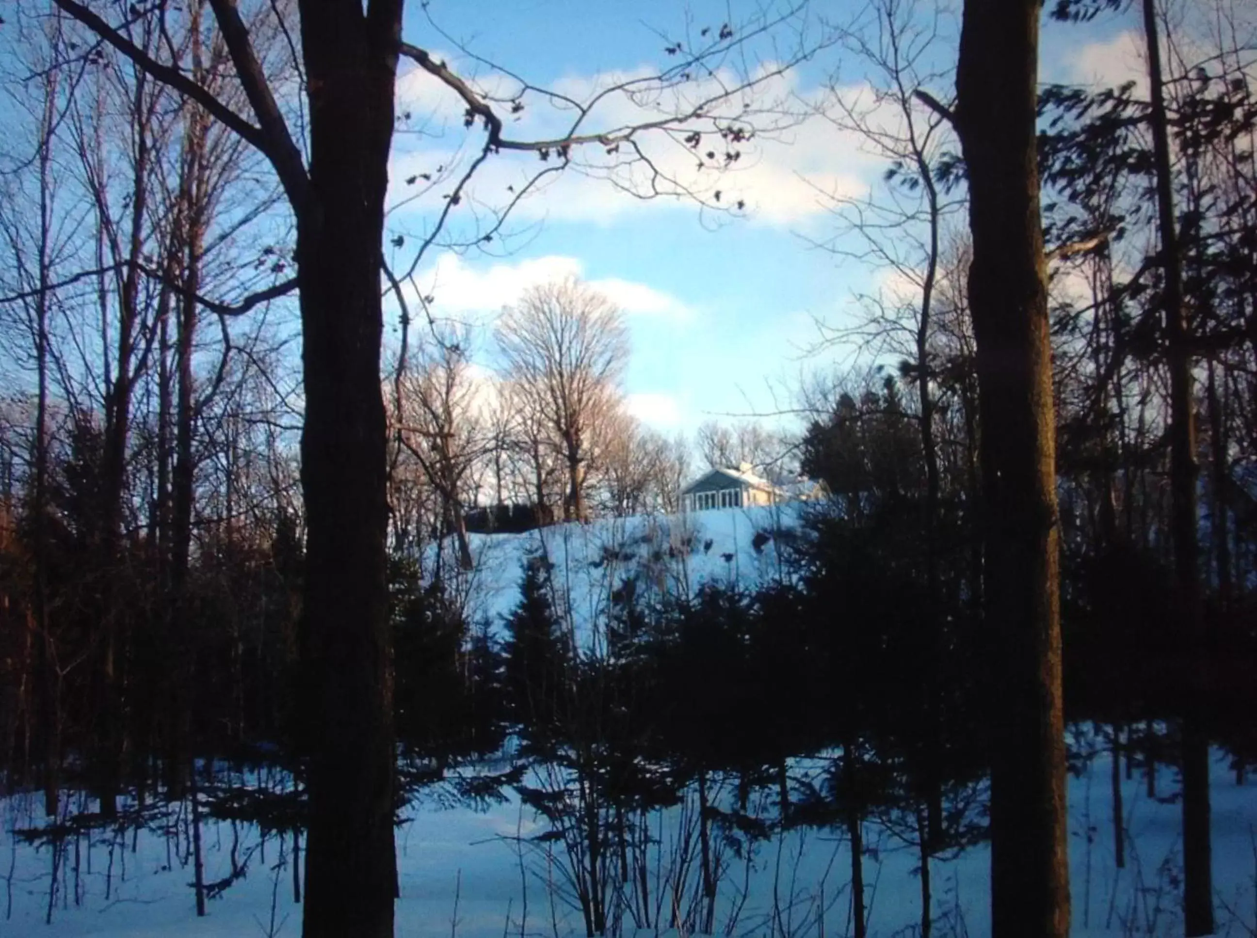 Winter in Les saisons du fleuve