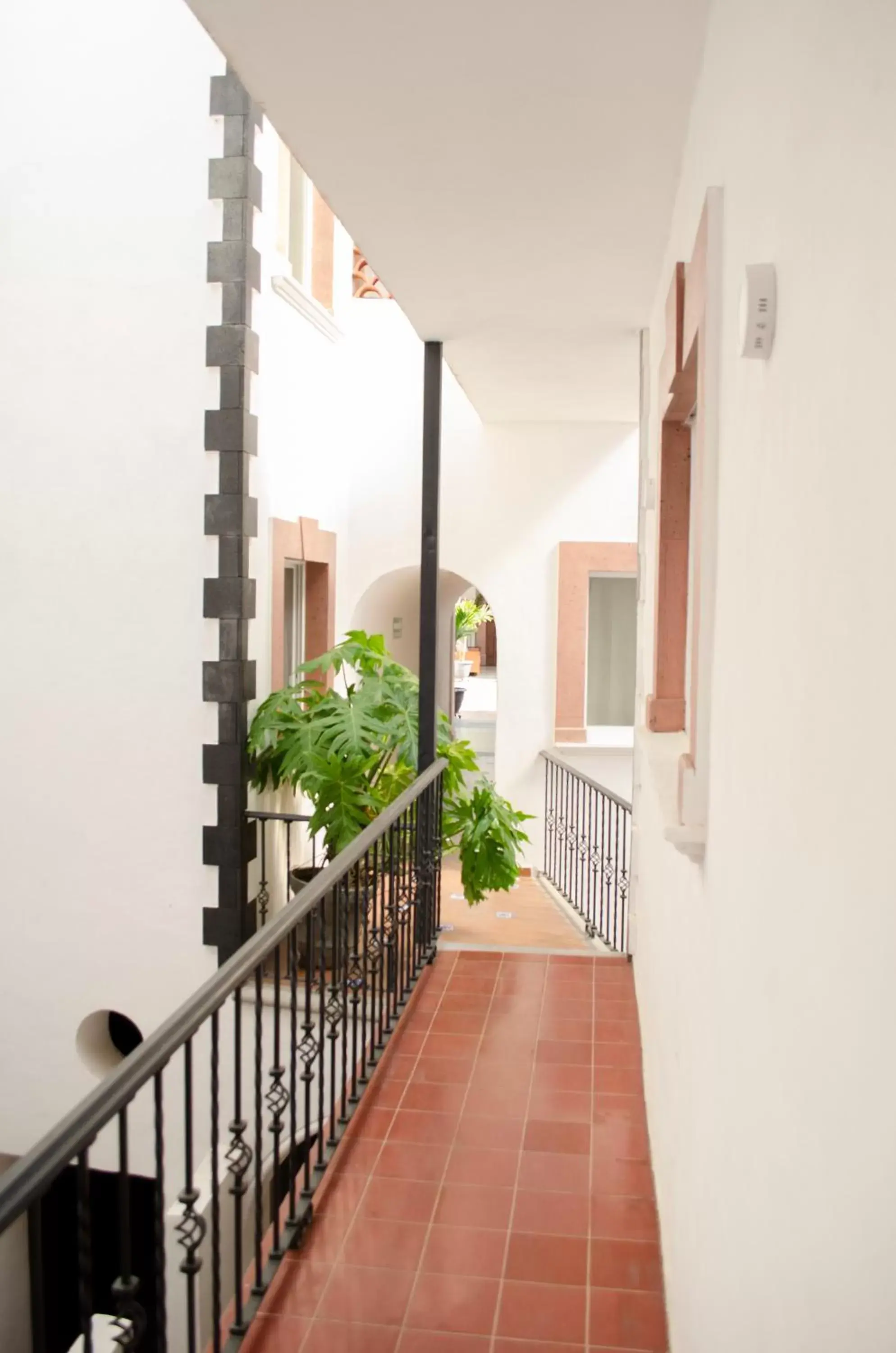 Property building, Balcony/Terrace in Hotel Catedral