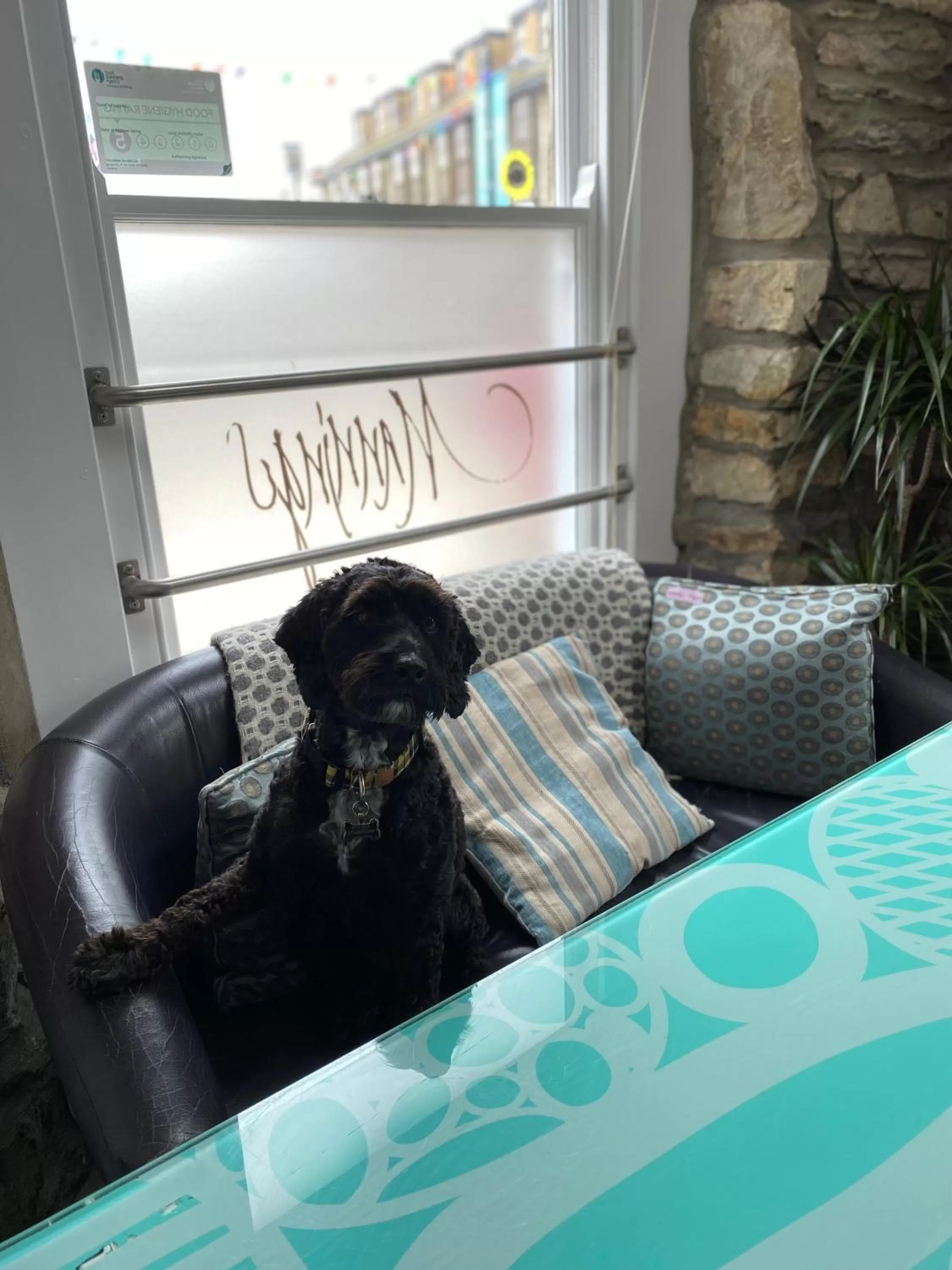 Pets in Mannings Hotel