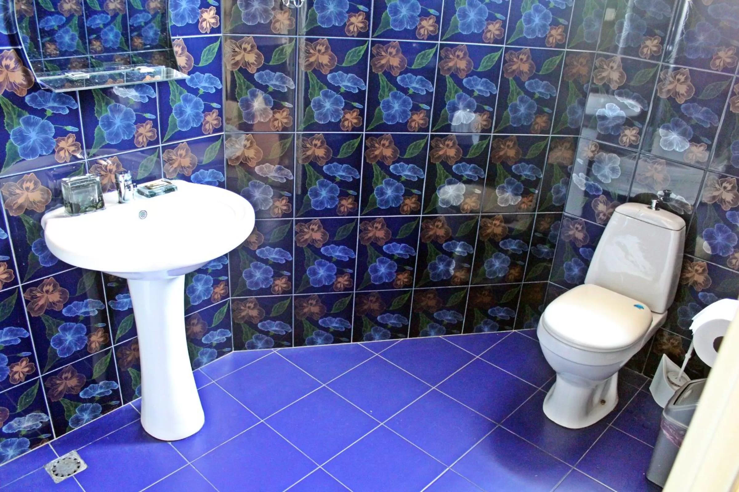 Shower in Hotel Elegant Garden