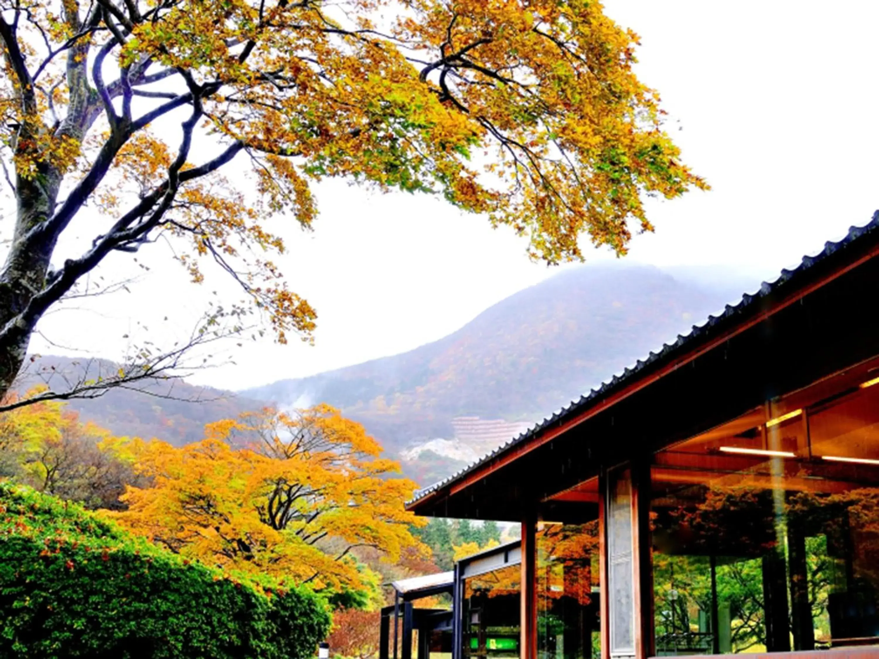 Hakone Yunohana Prince Hotel