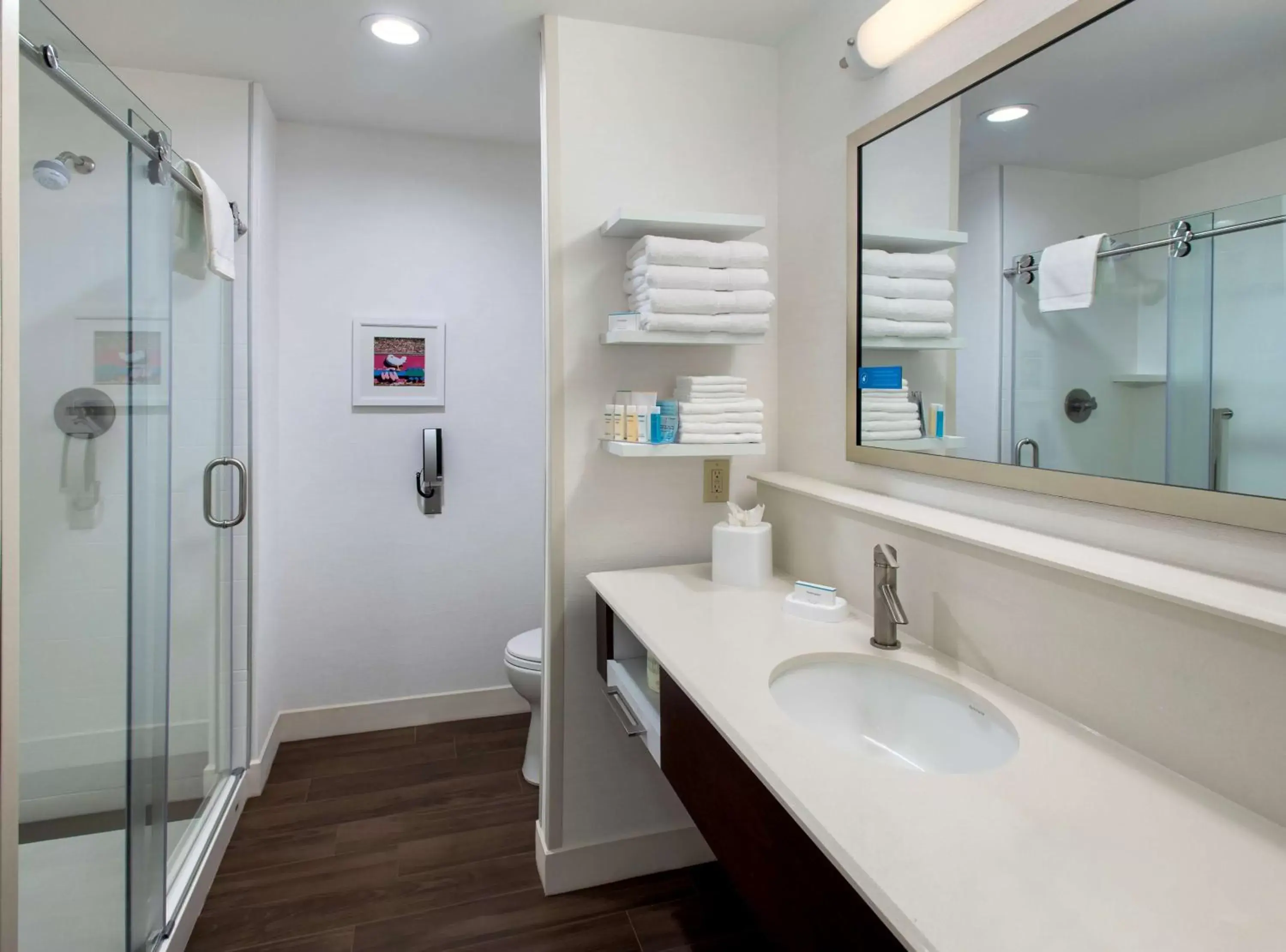 Bathroom in Hampton Inn by Hilton New Paltz, NY
