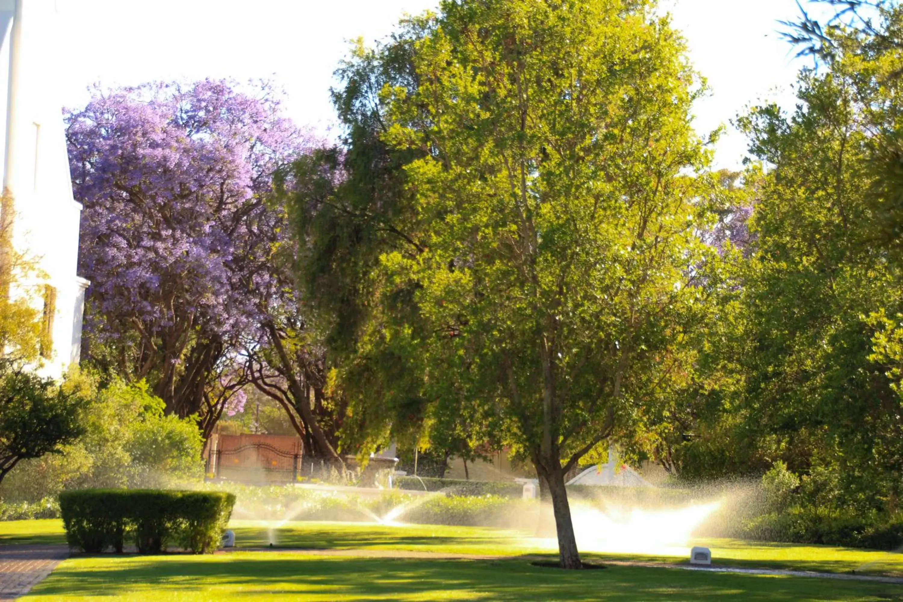 Garden view in Kievits Kroon Gauteng Wine Estate