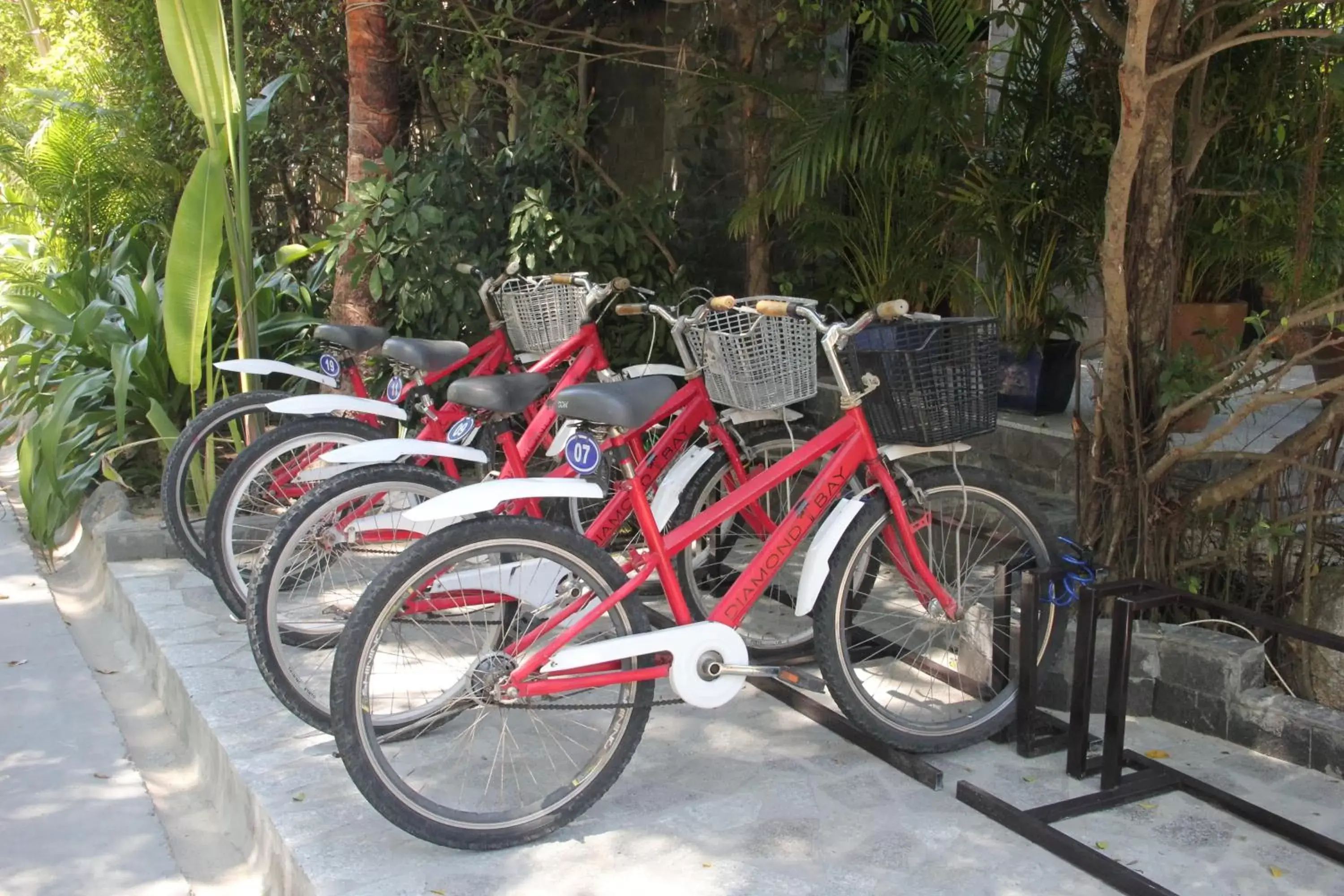 Cycling in Diamond Bay Resort & Spa