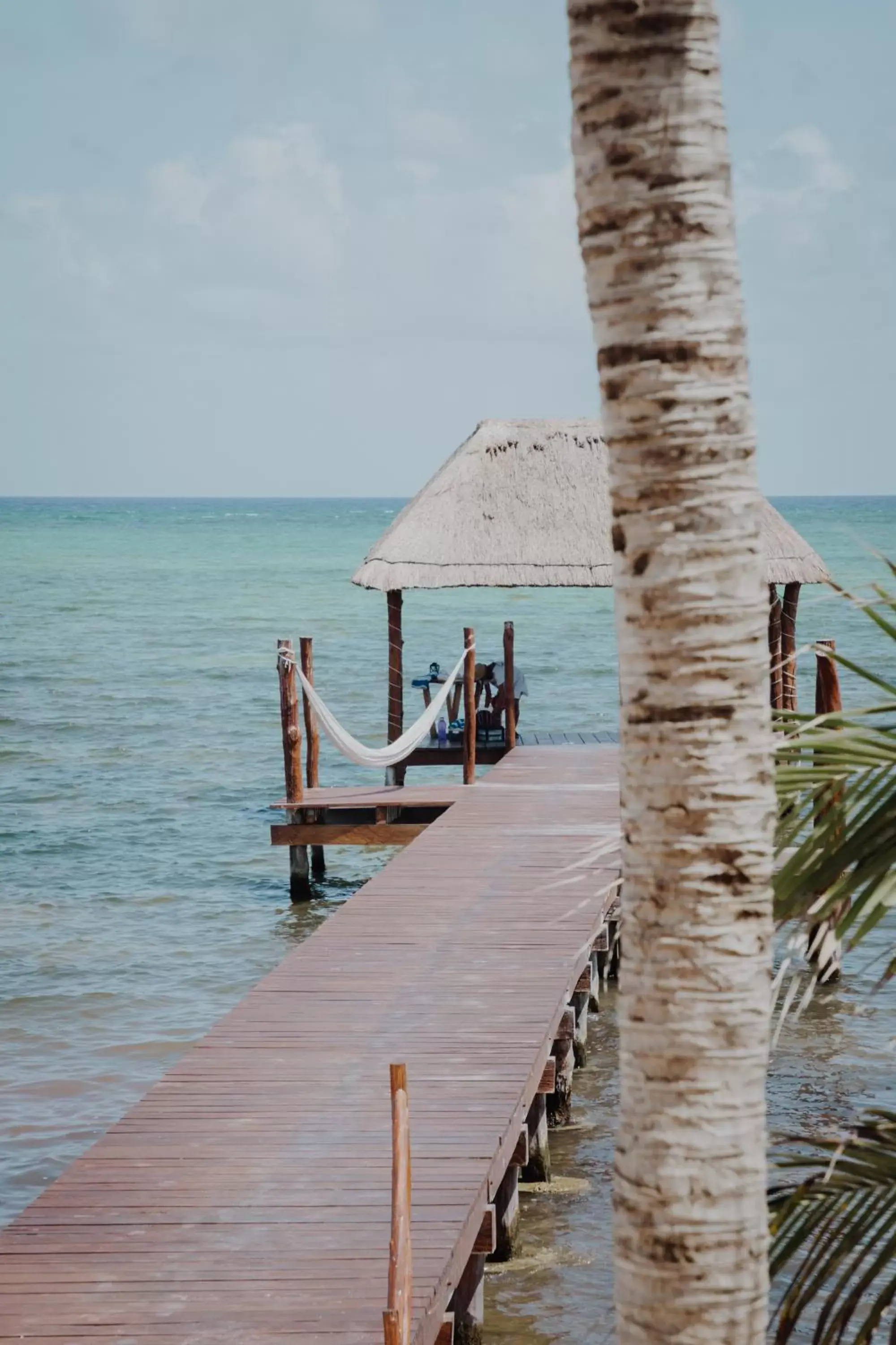 Natural landscape in Cielo Maya Beach Tulum