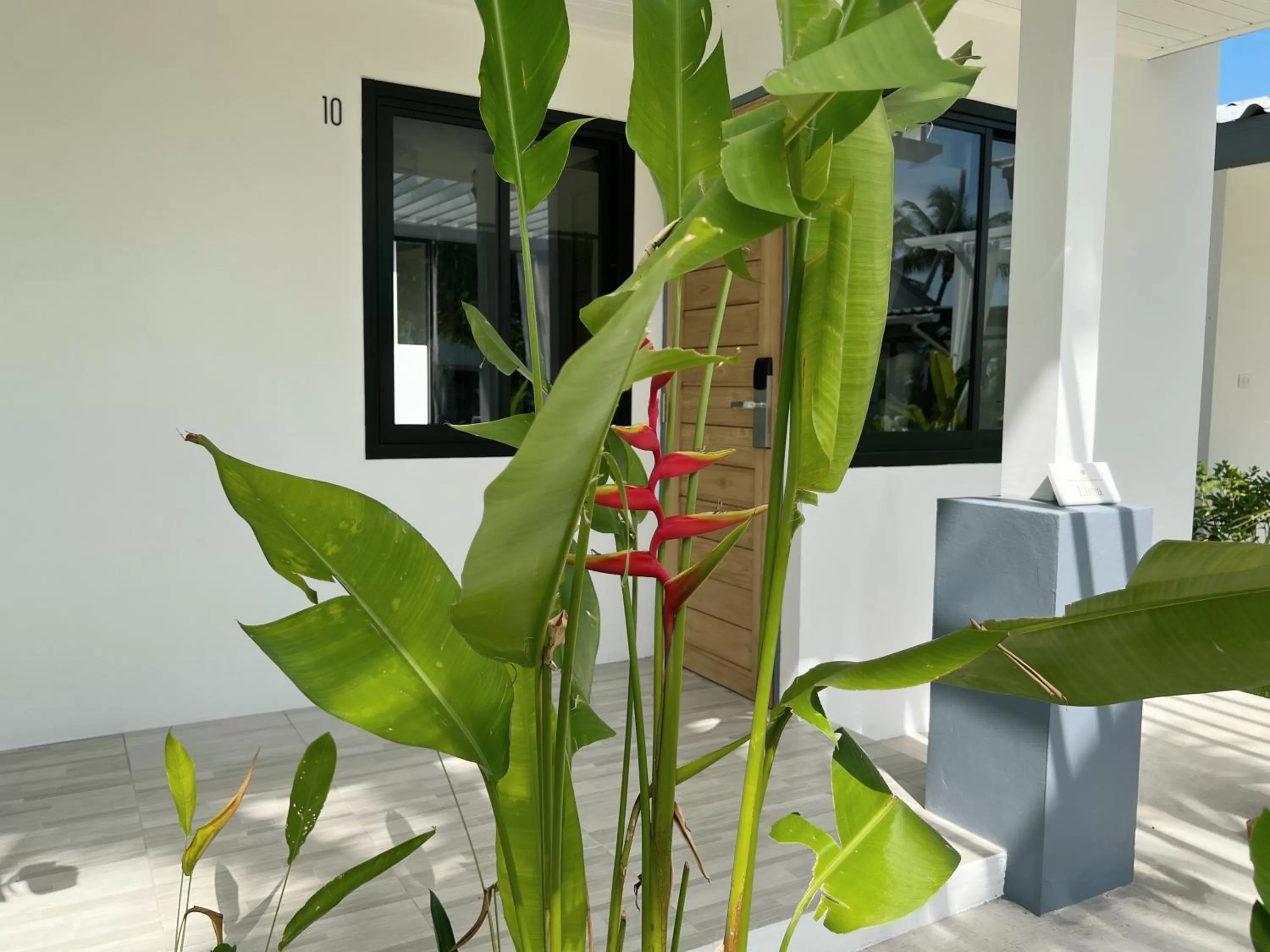 Garden in Pearl of Samui Resort