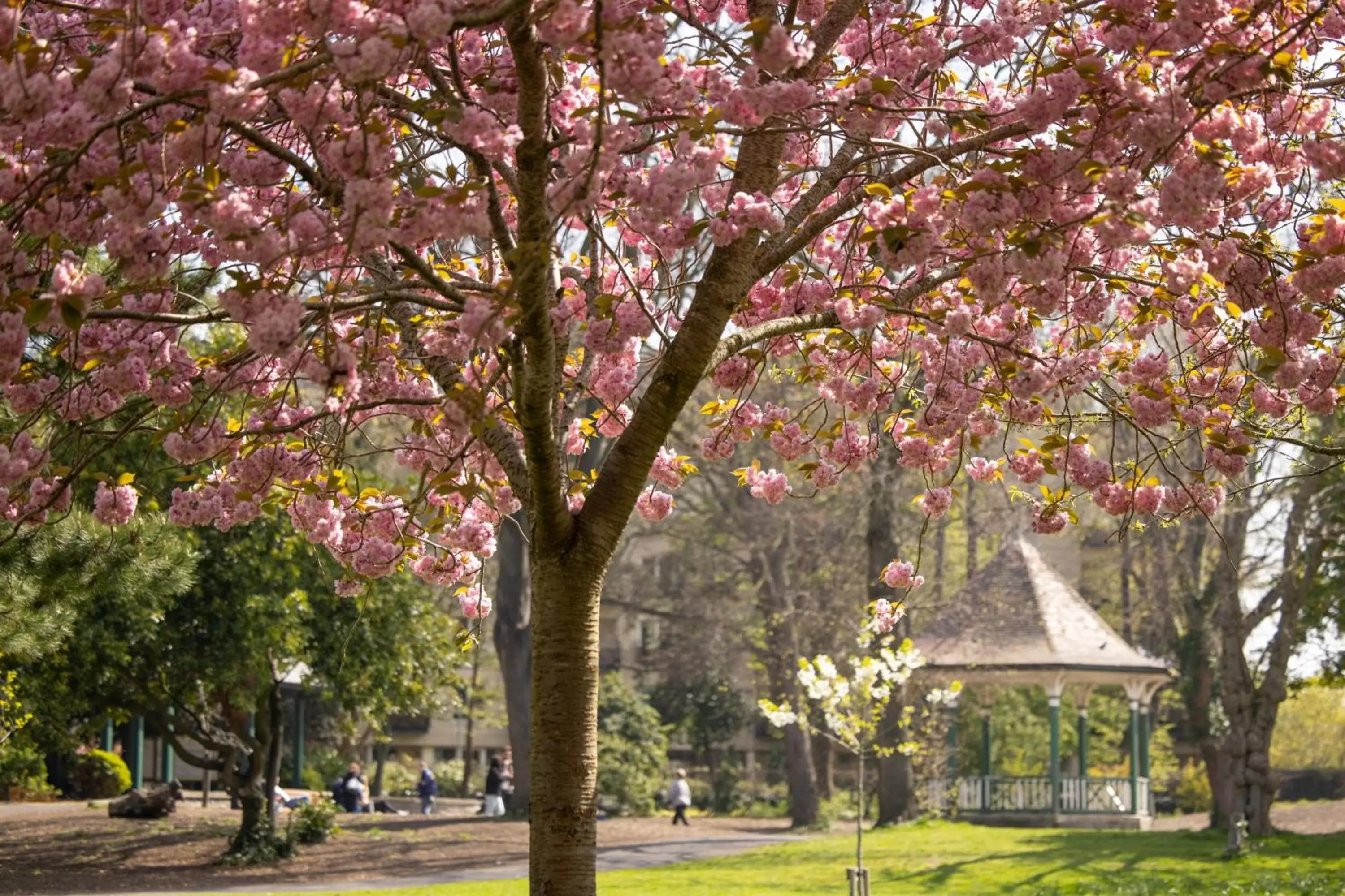 Area and facilities, Garden in Herbert Park Hotel and Park Residence