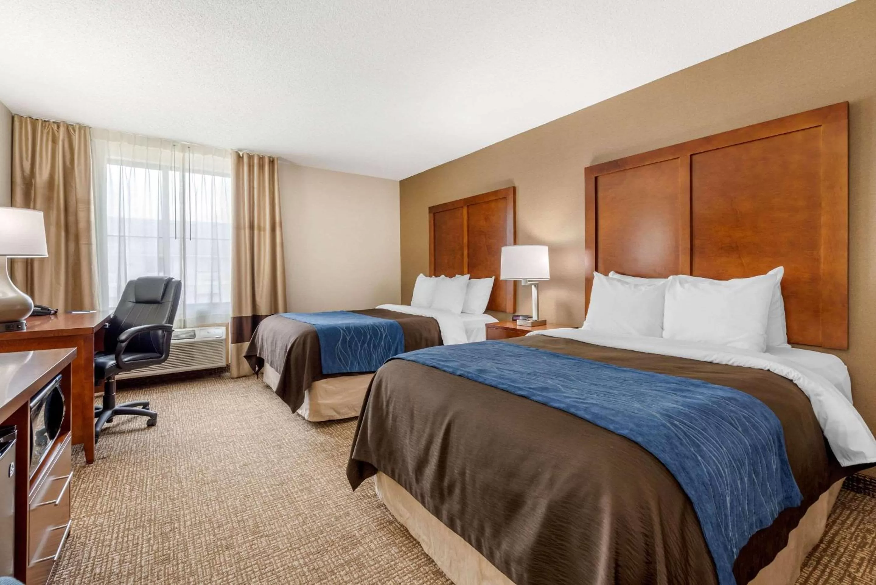 Photo of the whole room, Bed in Comfort Inn Anderson South