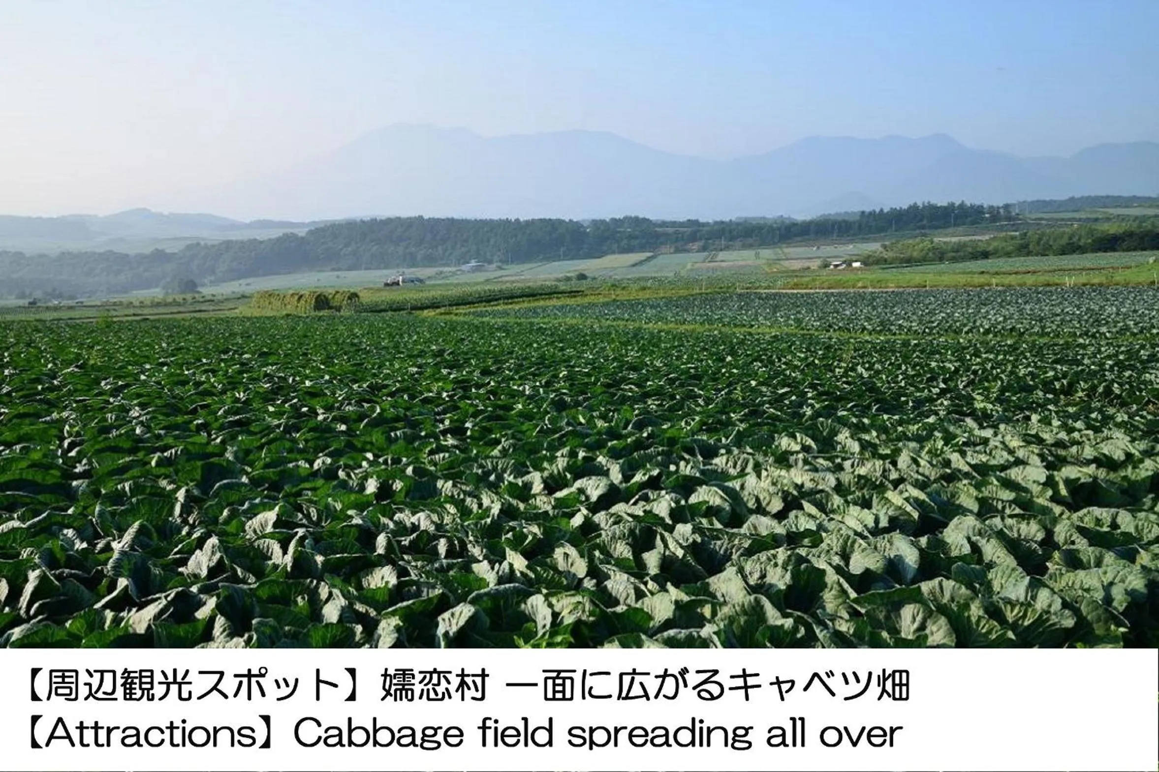 Nearby landmark in Karuizawakurabu Hotel 1130 Hewitt Resort