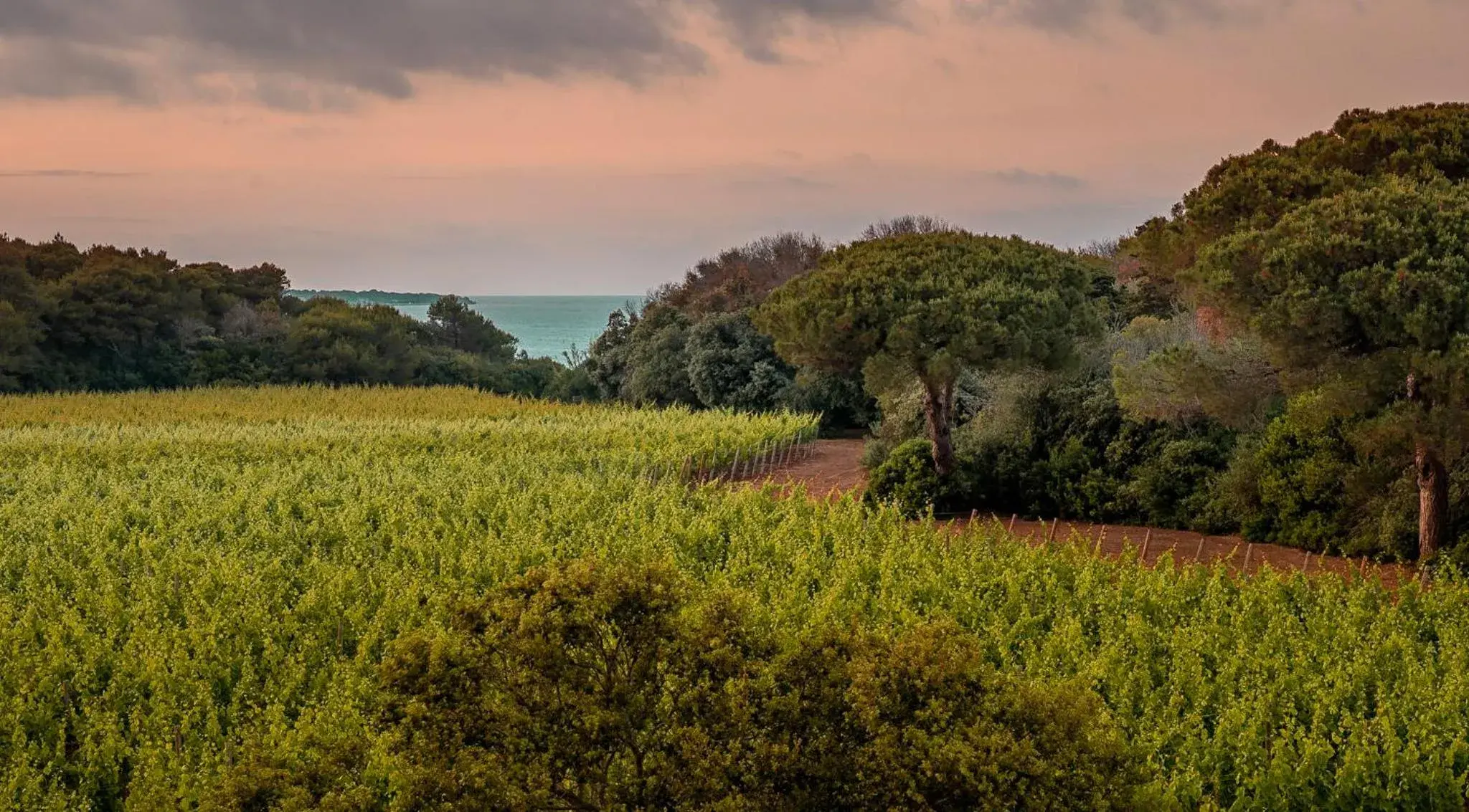 Other, Natural Landscape in Masseria Mongio dell'Elefante