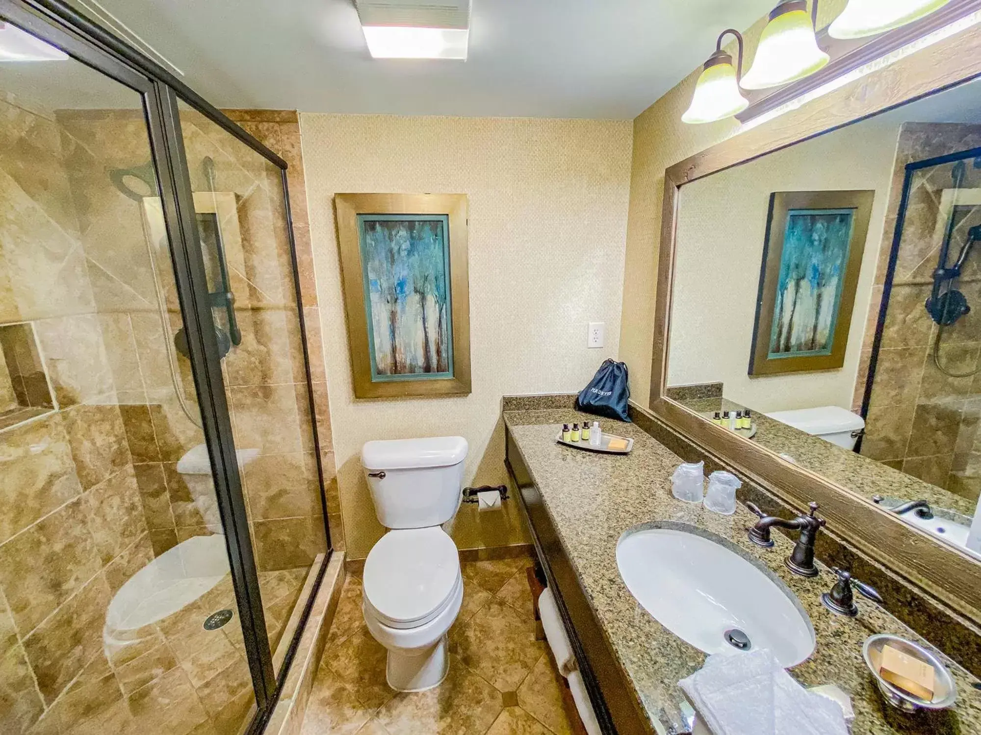 Bathroom in Lanier Islands Legacy Lodge