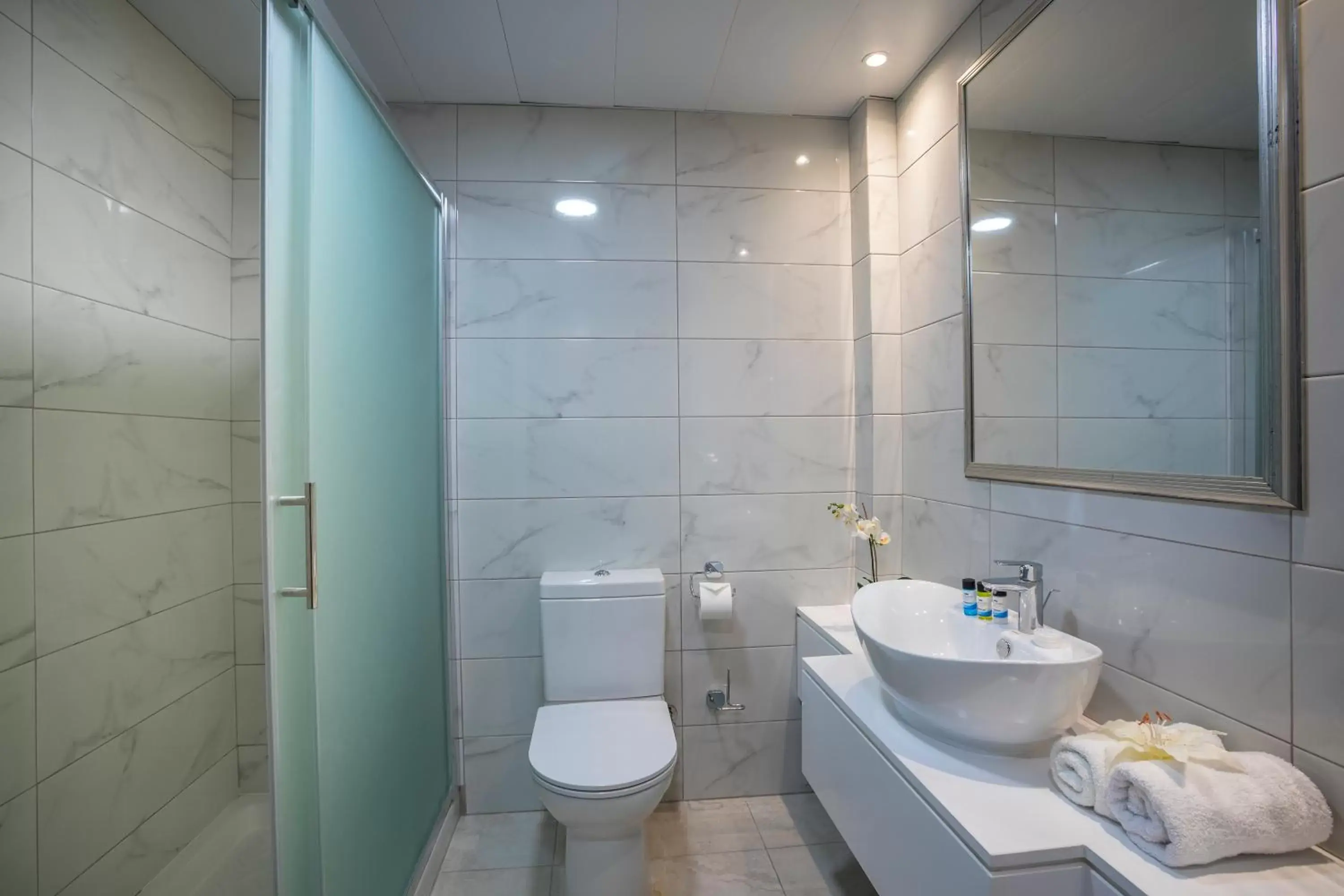 Shower, Bathroom in Aquamare Beach Hotel & Spa