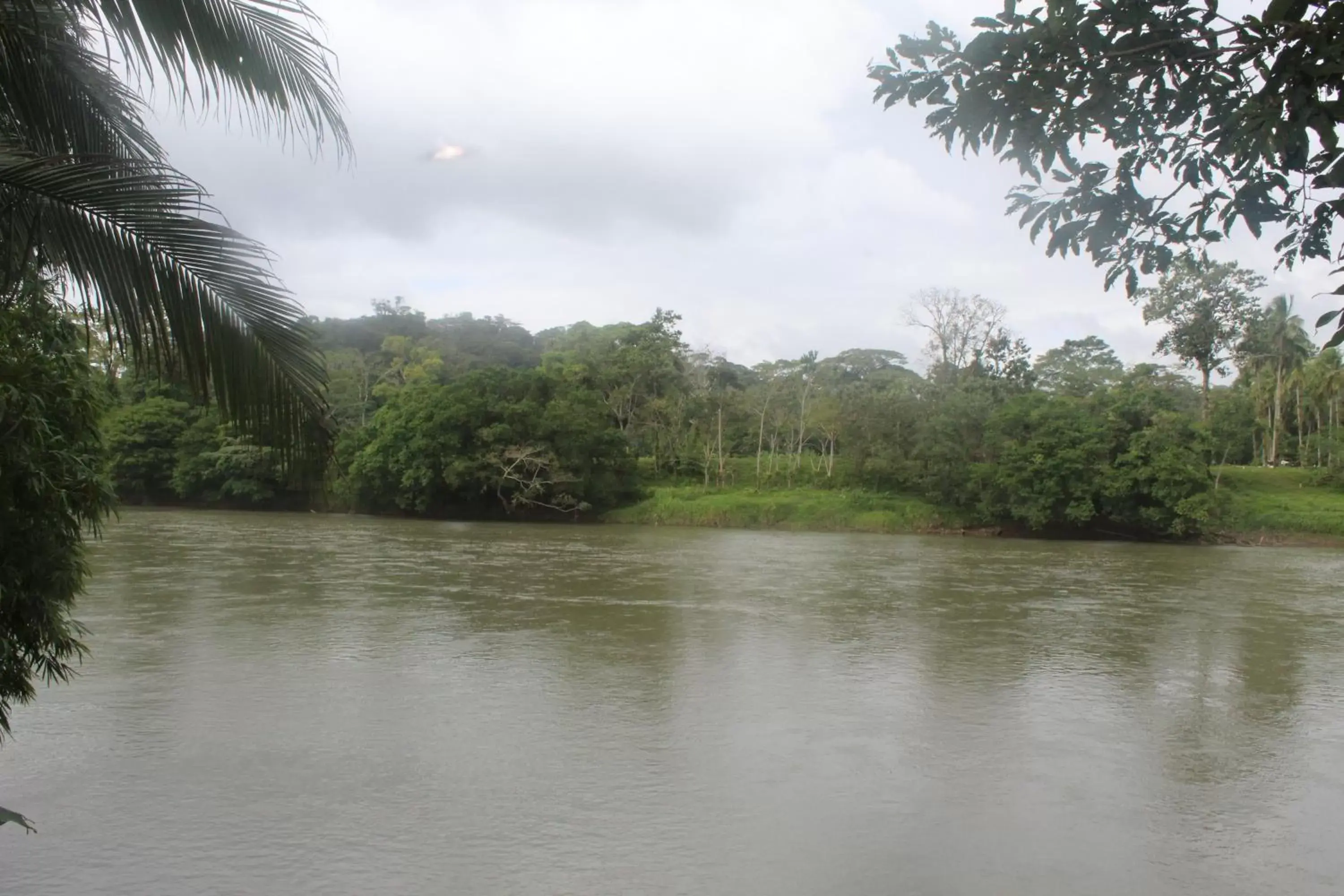 Property building in Iguanitas Lodge