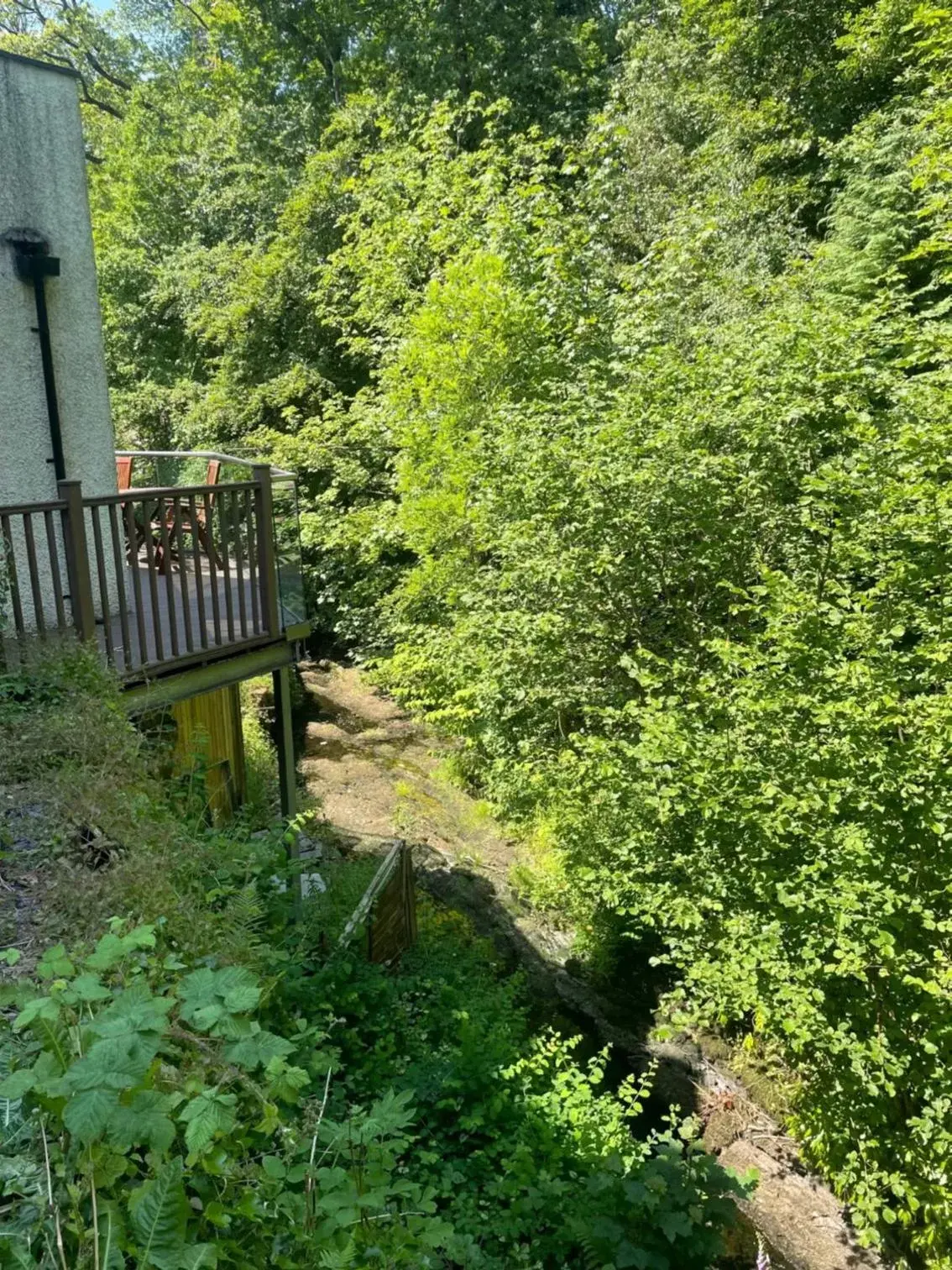 Suite with Hot Tub in Glencree