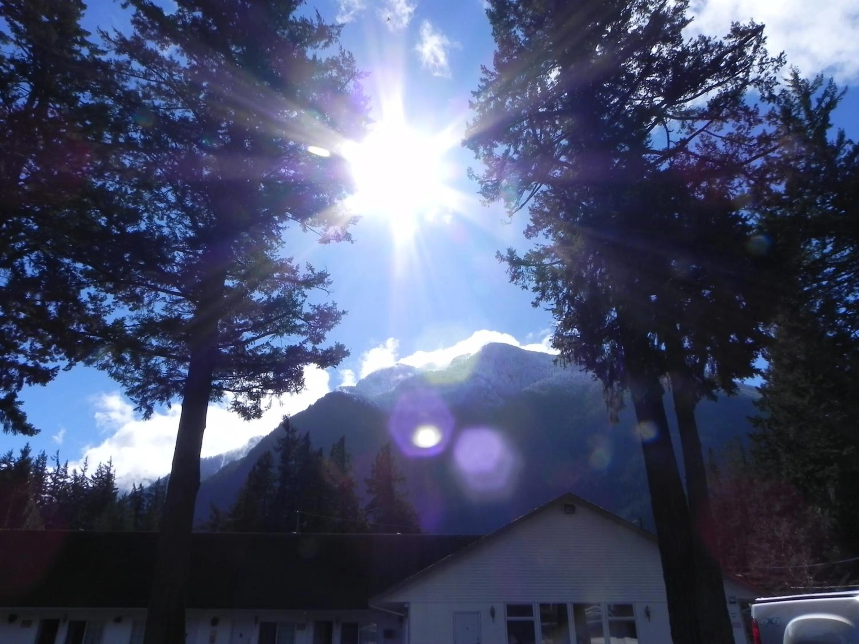 Spring in Skagit Motel