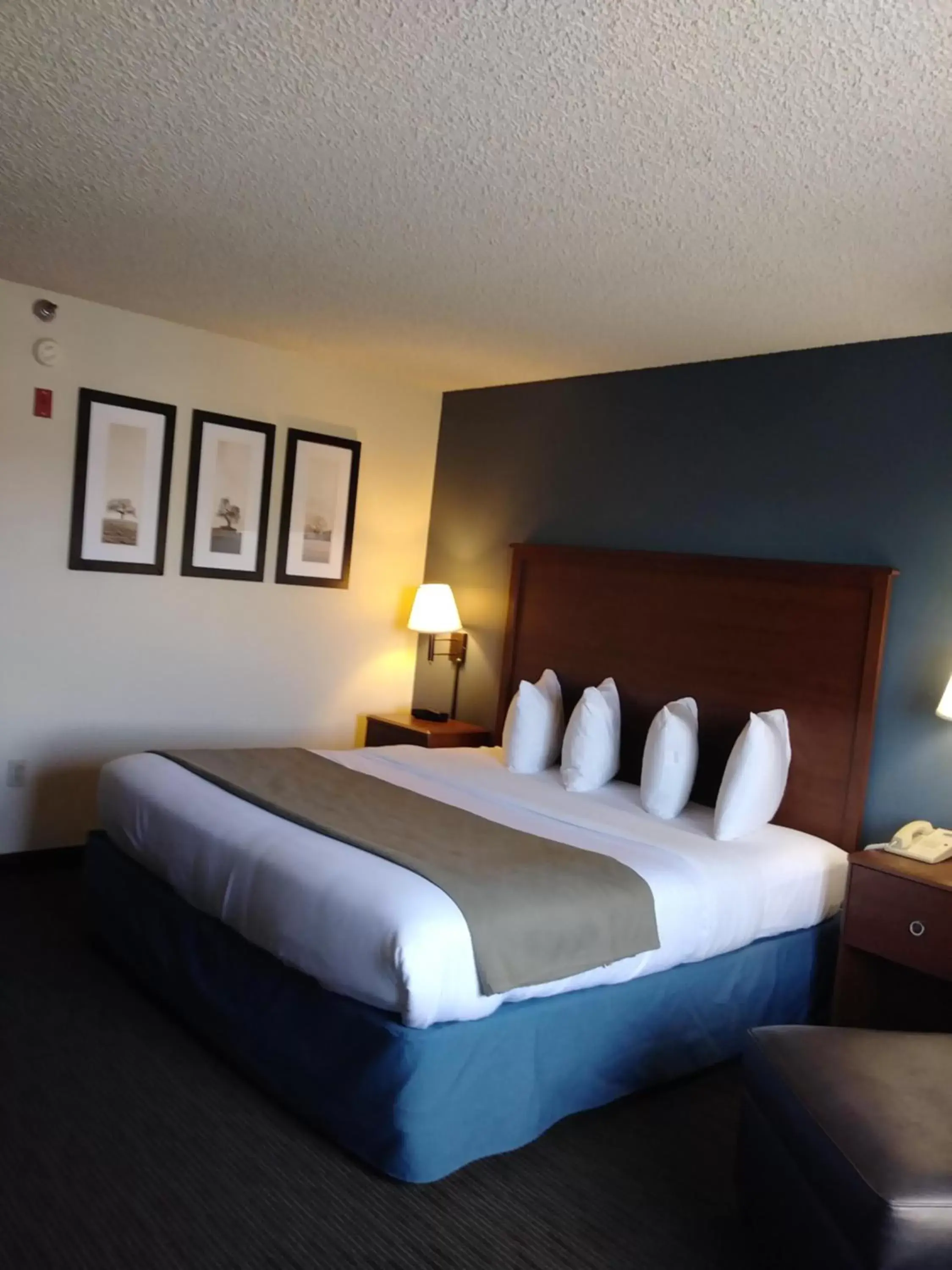 Luxury King Studio Suite - Non-Smoking in AmericInn by Wyndham Windsor Ft. Collins Luxury King Studio Suite - Non-Smoking in AmericInn by Wyndham Windsor Ft. Collins