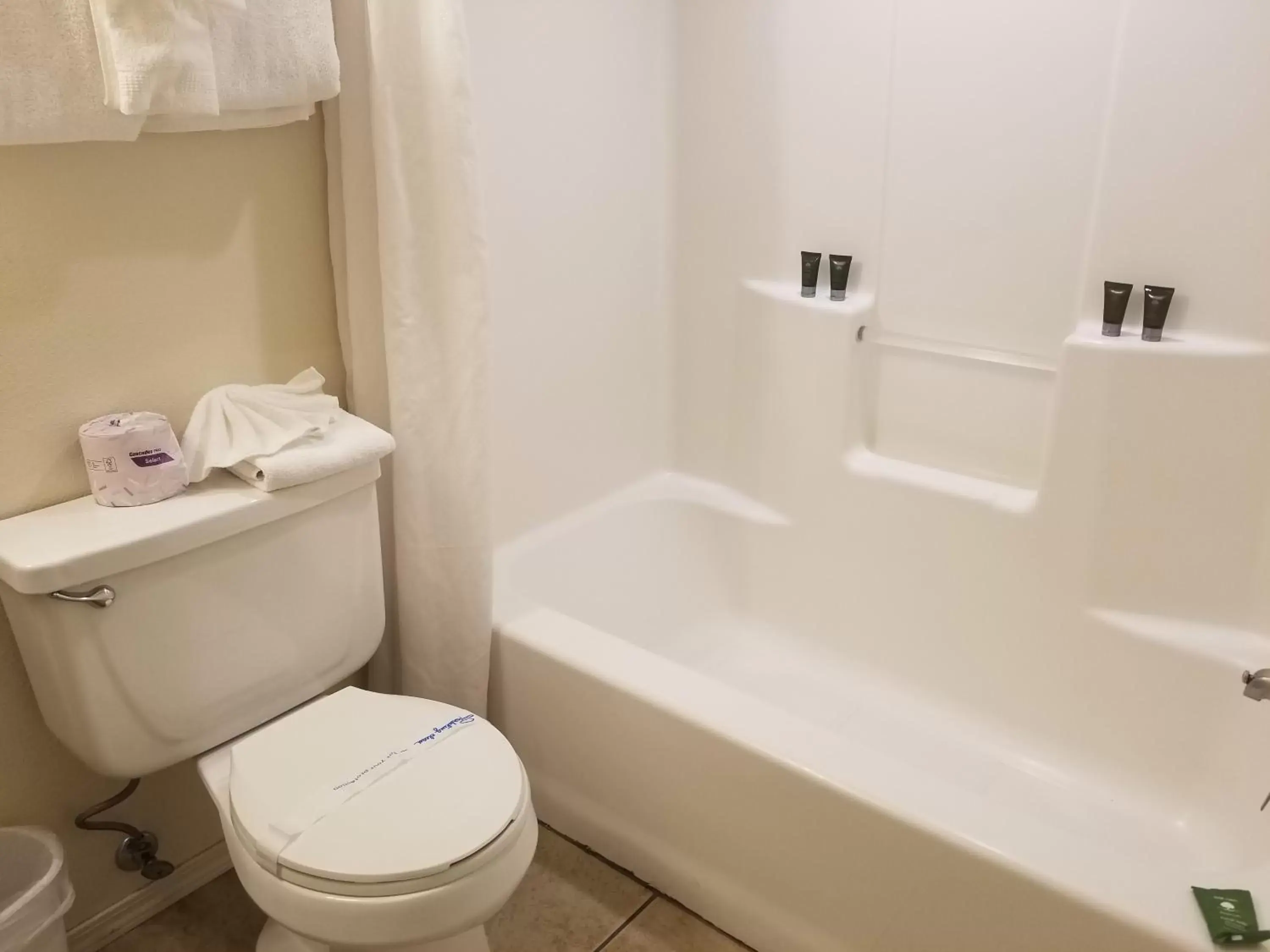 Shower, Bathroom in Fireside Lodge