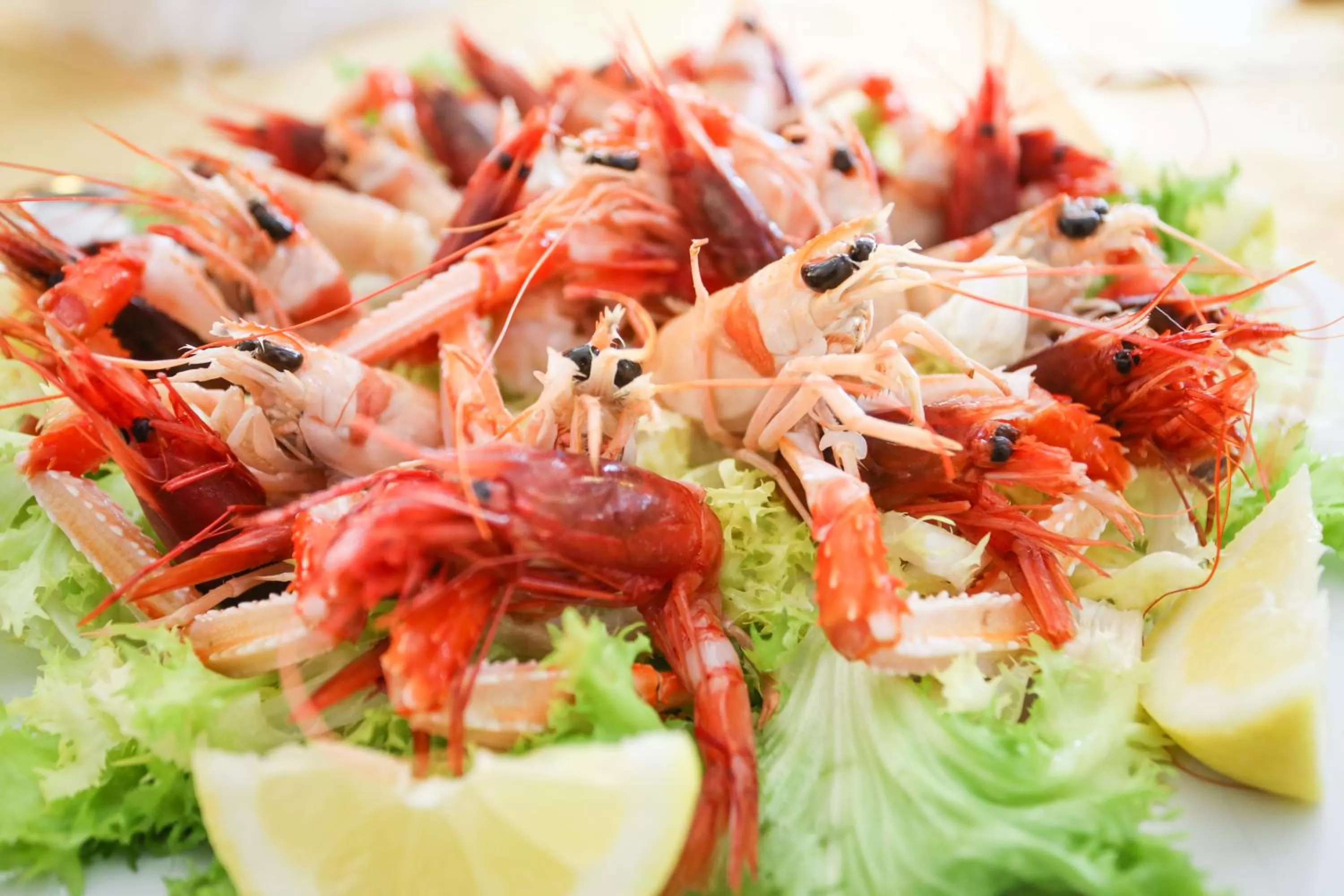 Restaurant/places to eat in Olimpus