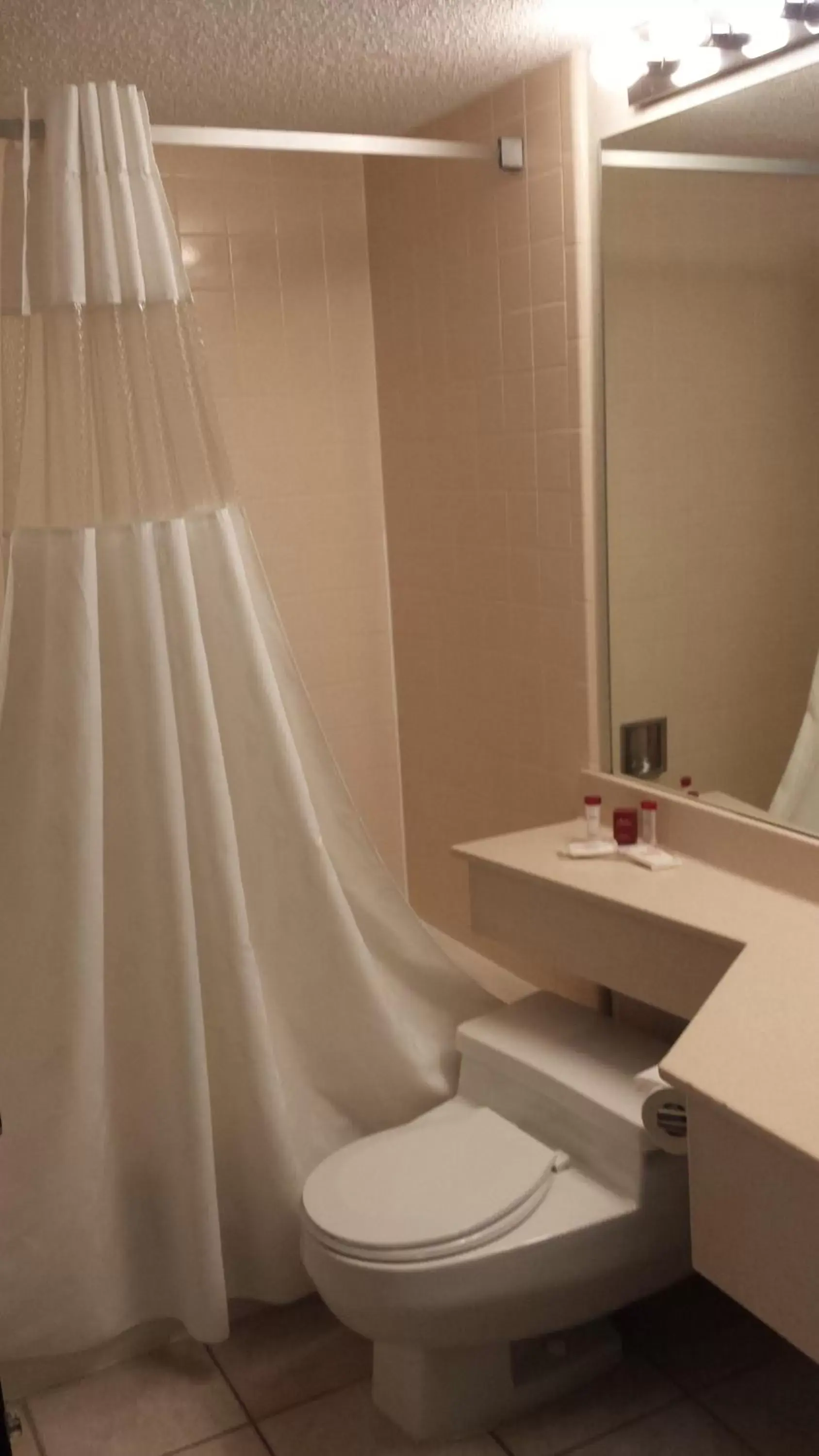 Toilet, Bathroom in Ramada by Wyndham Grand Junction