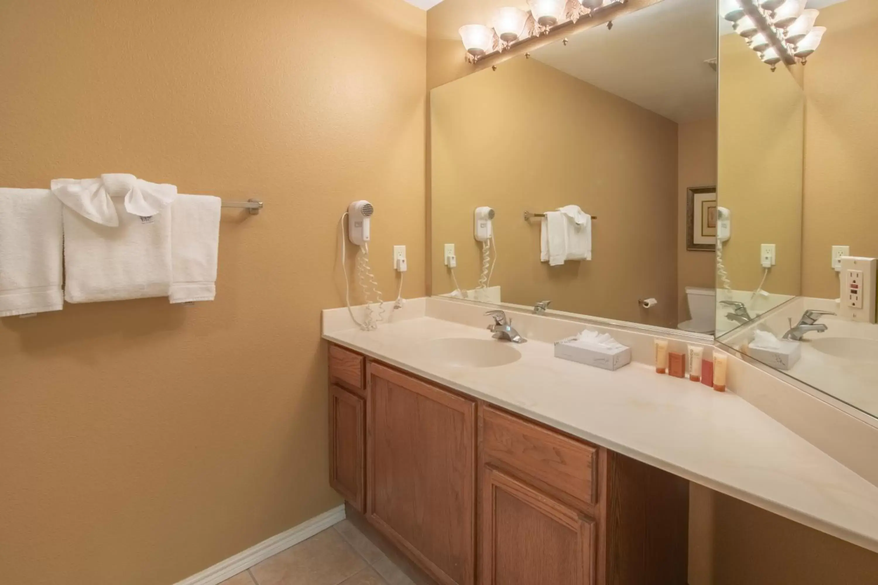 Bathroom in Holiday Inn Club Vacations - David Walley's Resort, an IHG Hotel