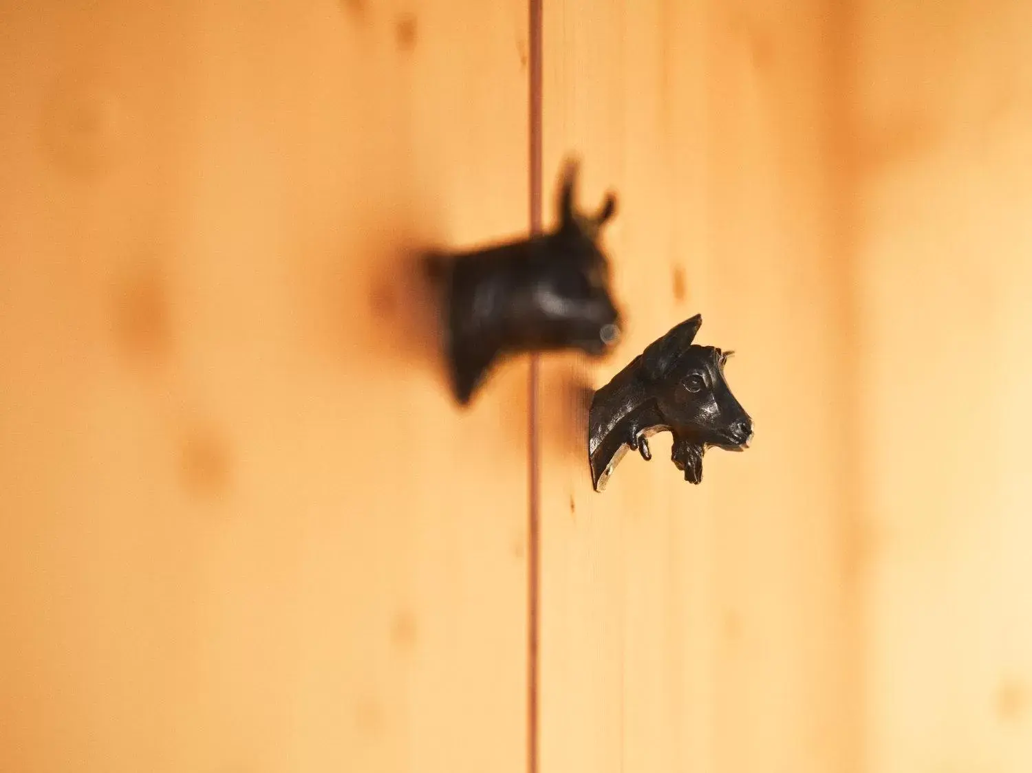 Photo of the whole room, Other Animals in Gasthaus Hof