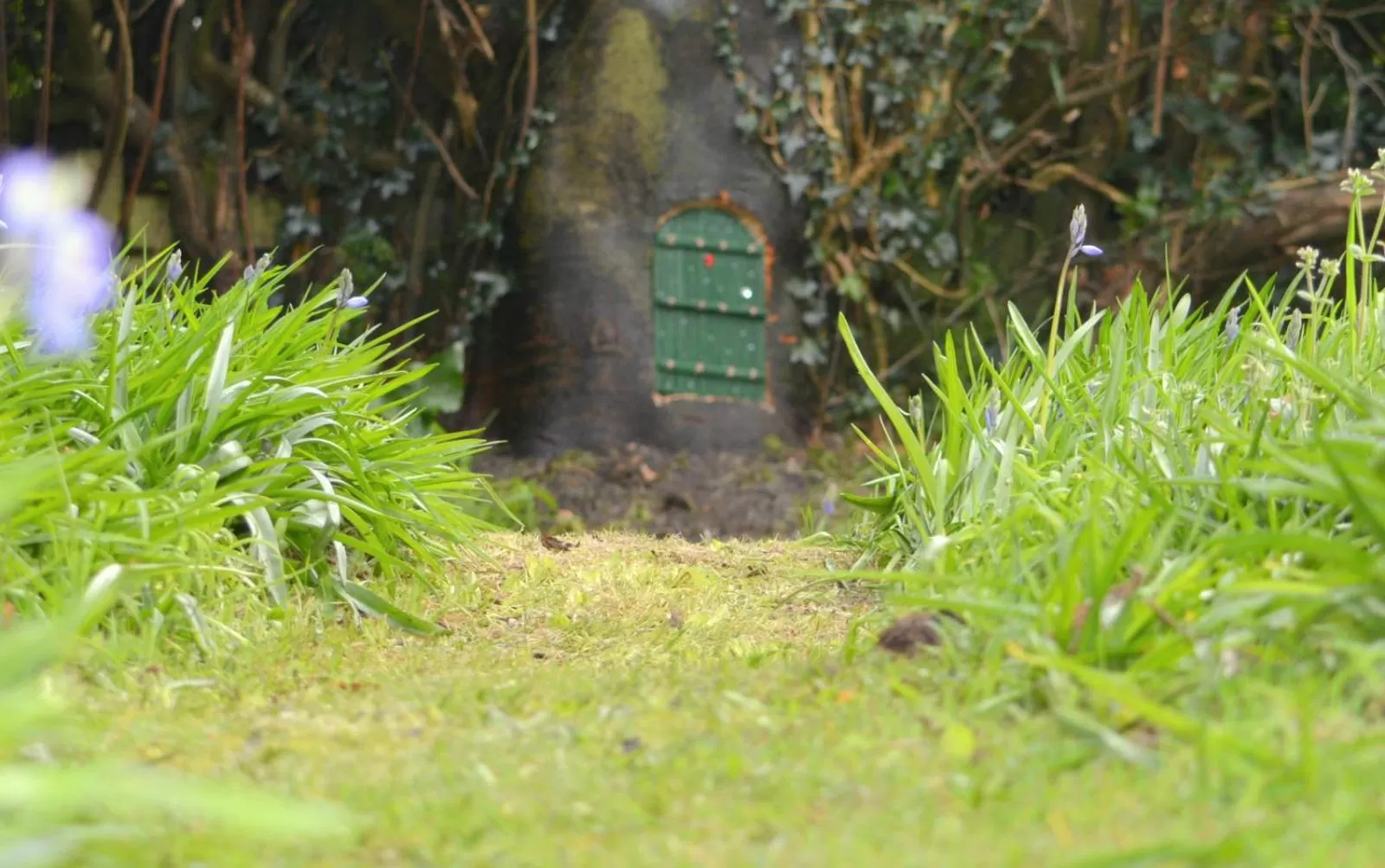 Garden in The Creamery