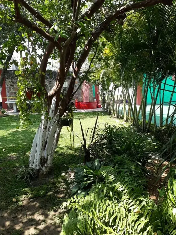 Garden in Hotel Quinta Paraiso