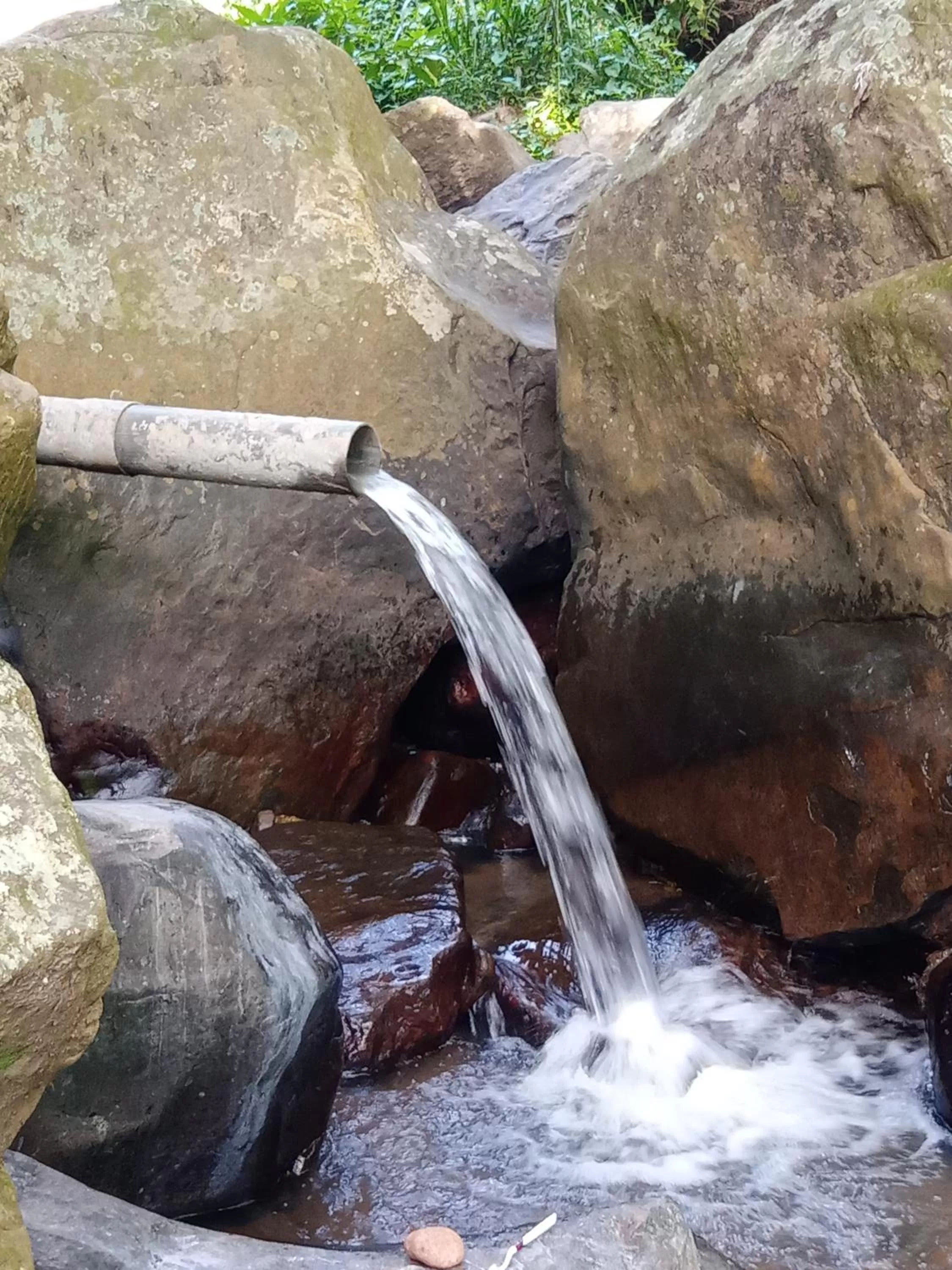 Ella Lucky Panoramic