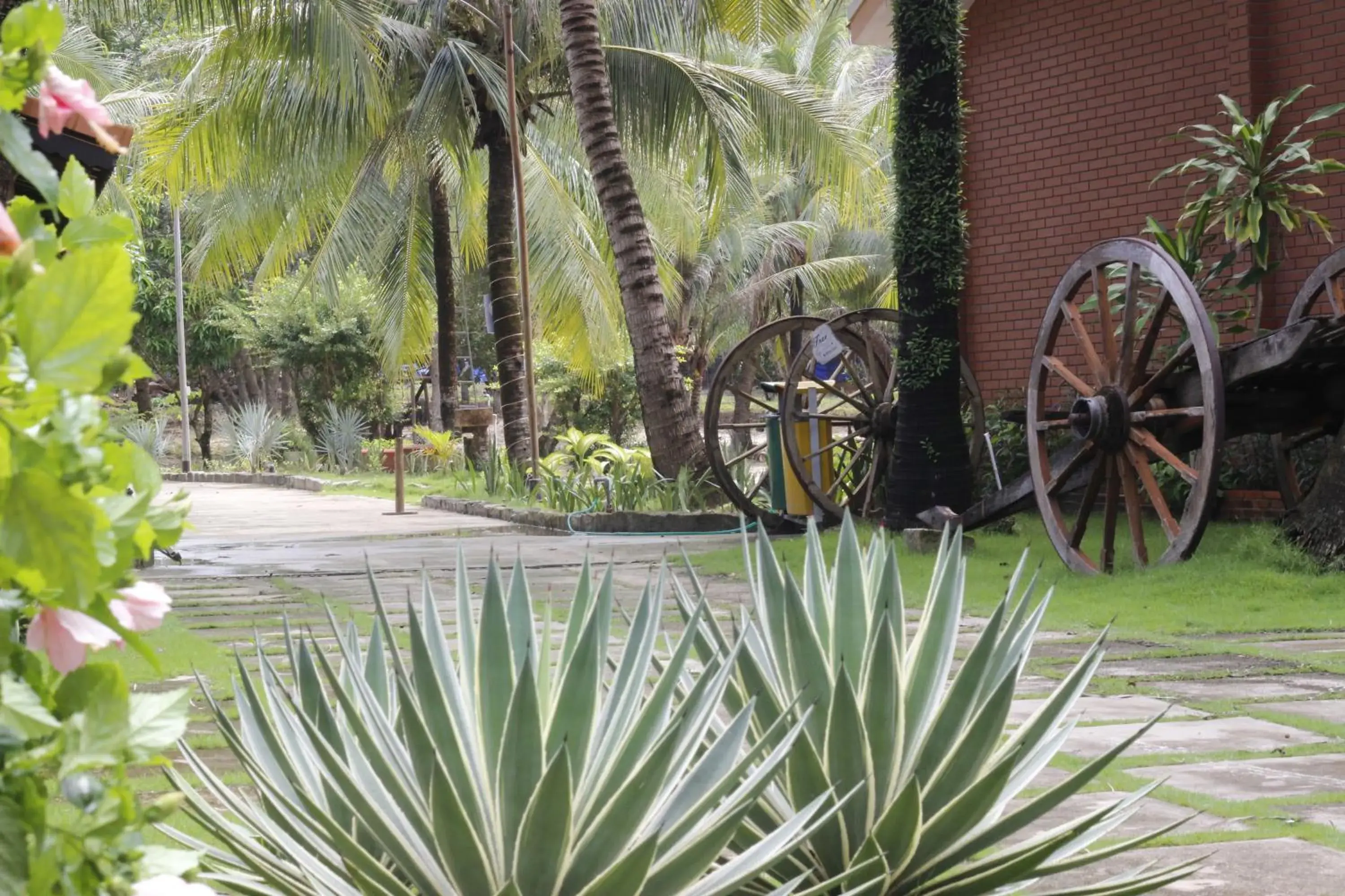 Natural landscape, Garden in Gold Coast Phu Quoc Beach Resort